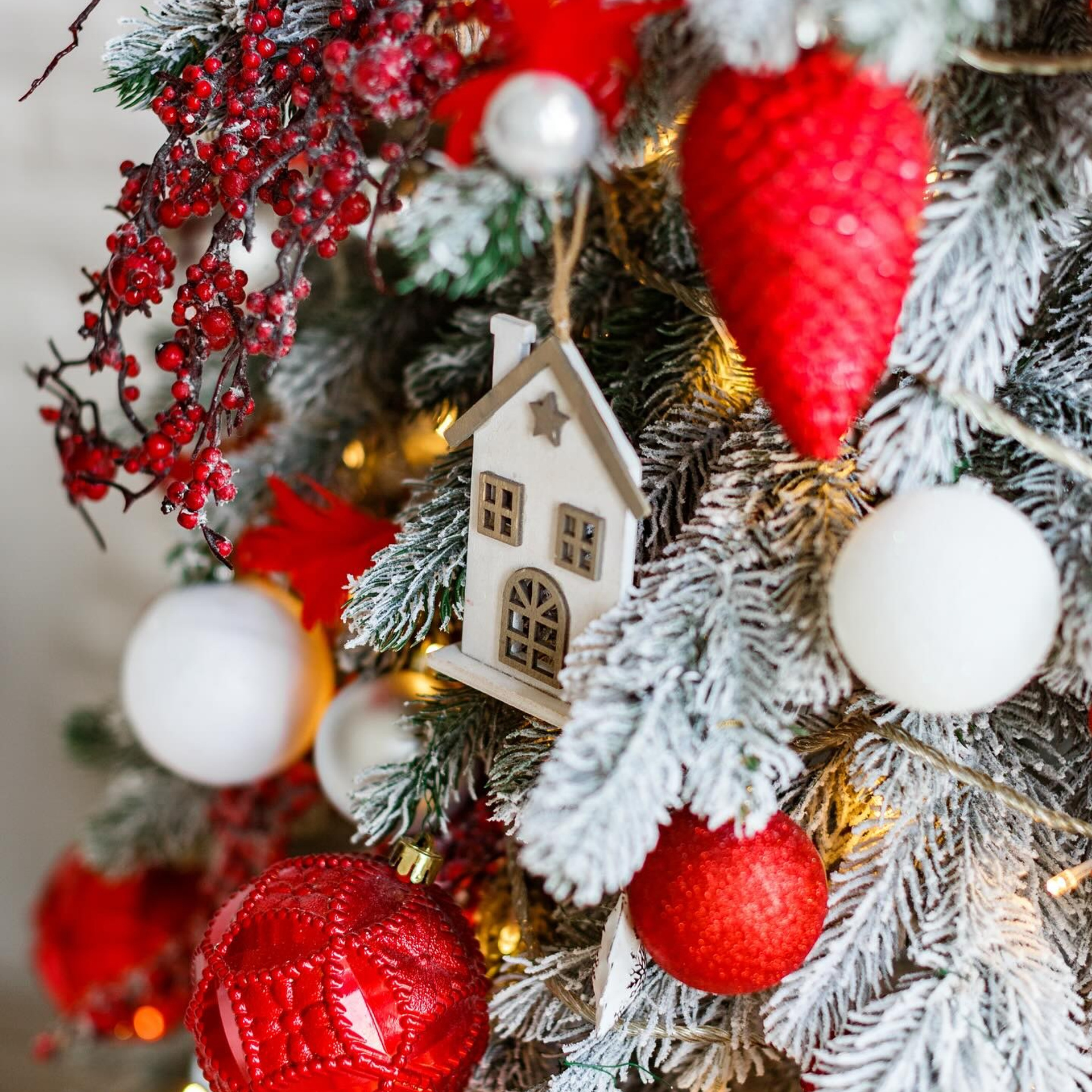 Рекомендовані студії. Весільний фотограф Львів Оля Грабовенська