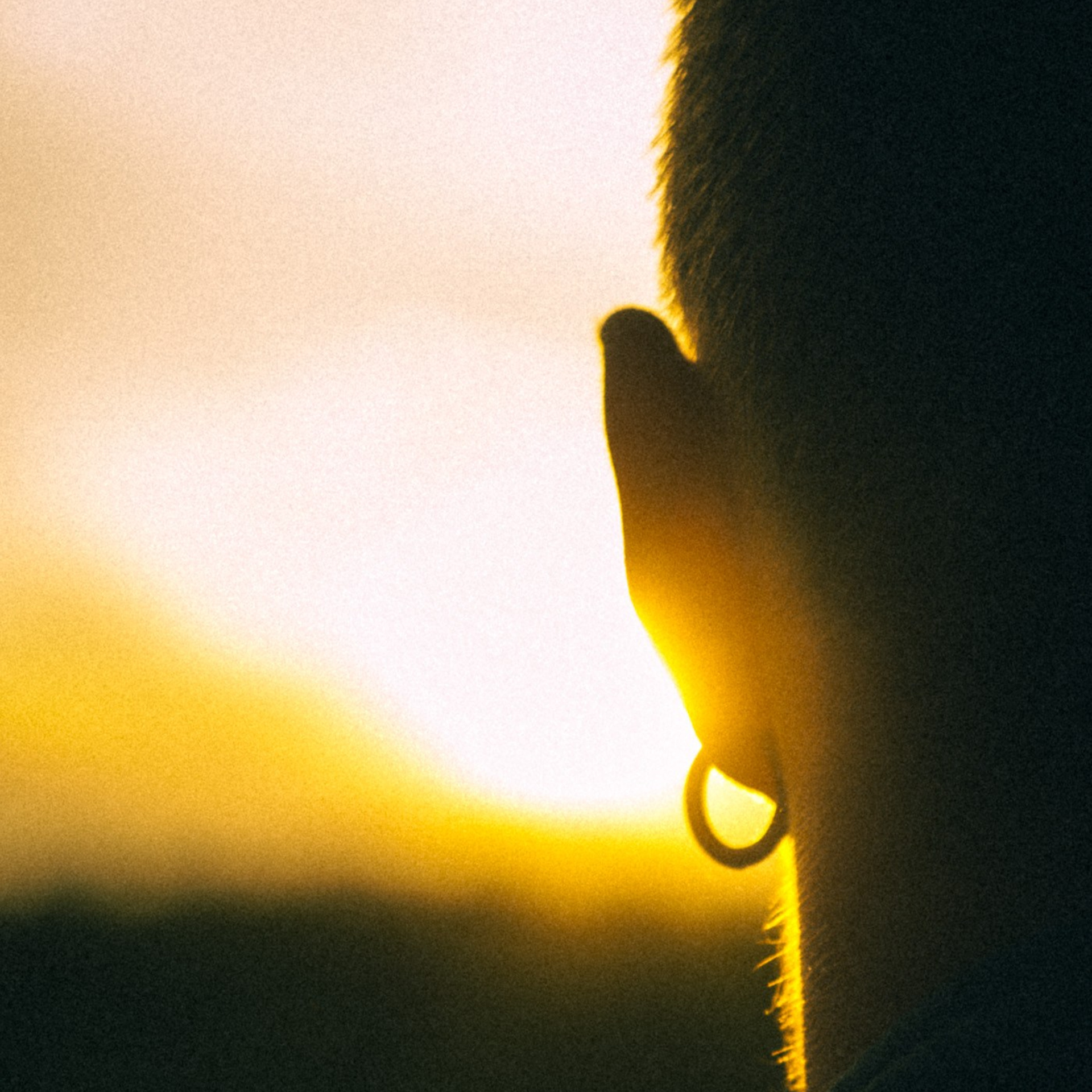 Motorbike & Off-road Photography & Video