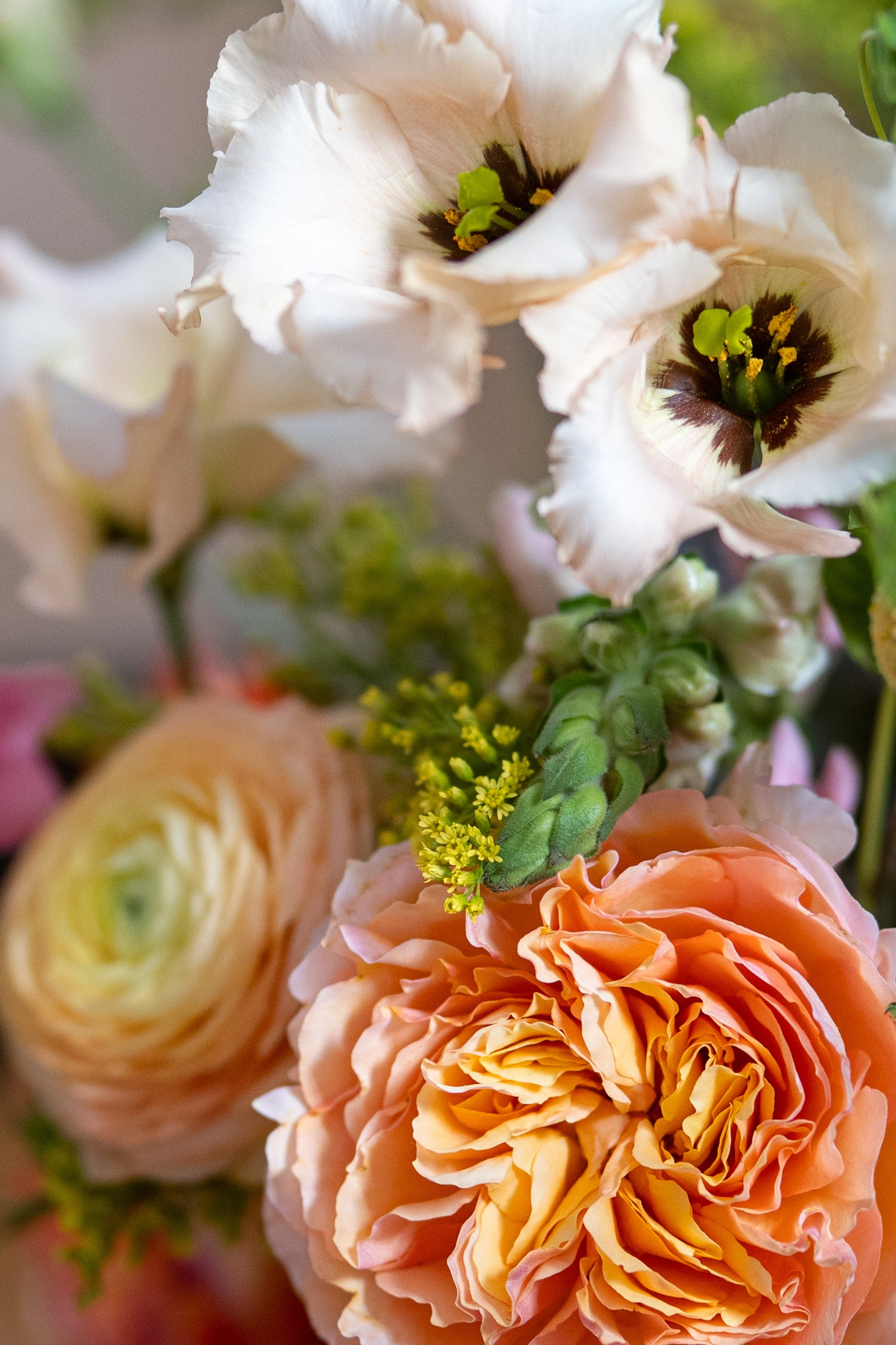 Summer hours in Madrid. Fotógrafo en Madrid, España. Alyona Belyaninova