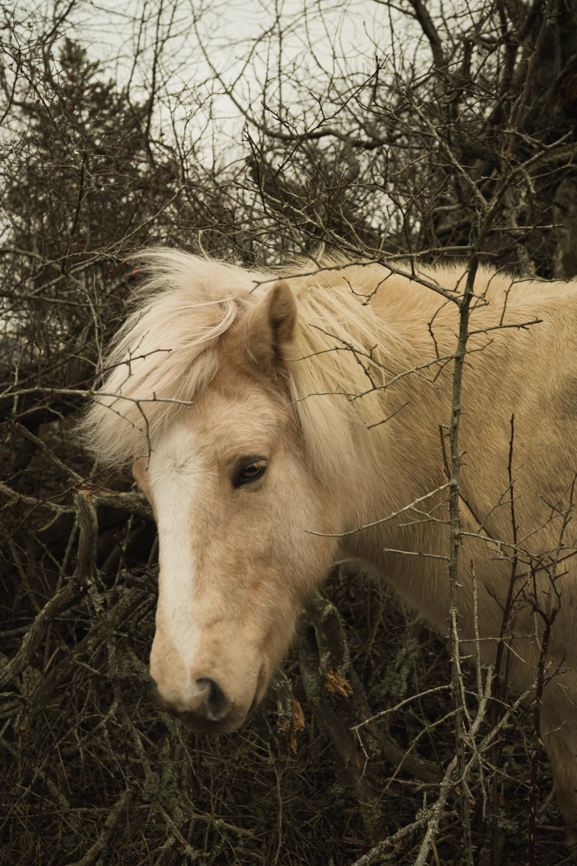 Silent Intervals – En undersökning av kropp, rum och tystnad | Elli Asker
