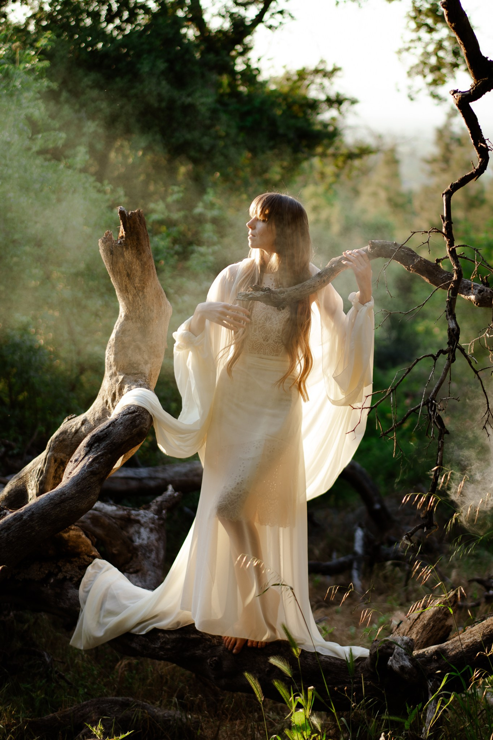 Forest Fairy