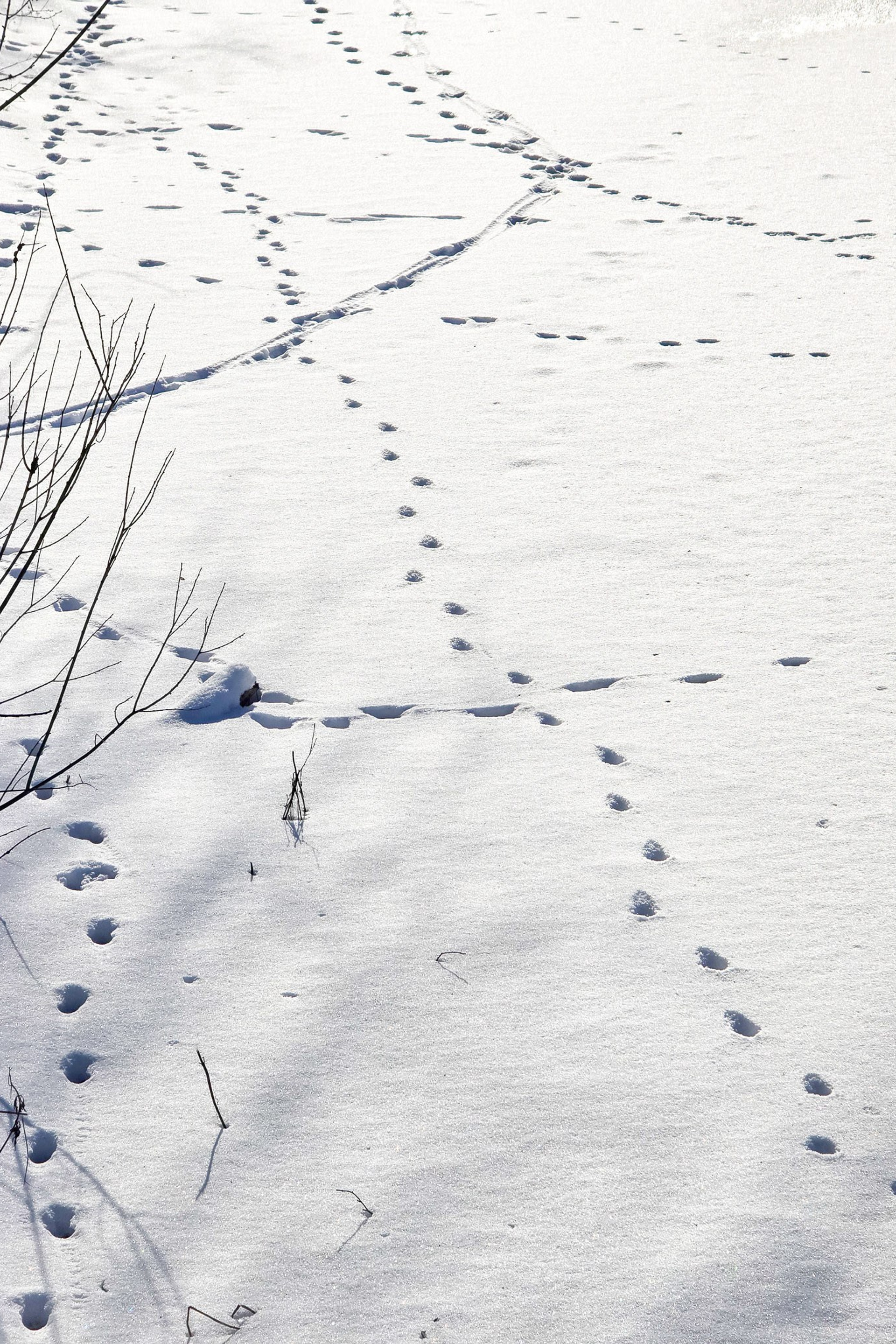 JOURNAL. Natalja Poplavska — Visual artist, Photographer, East Sussex, London