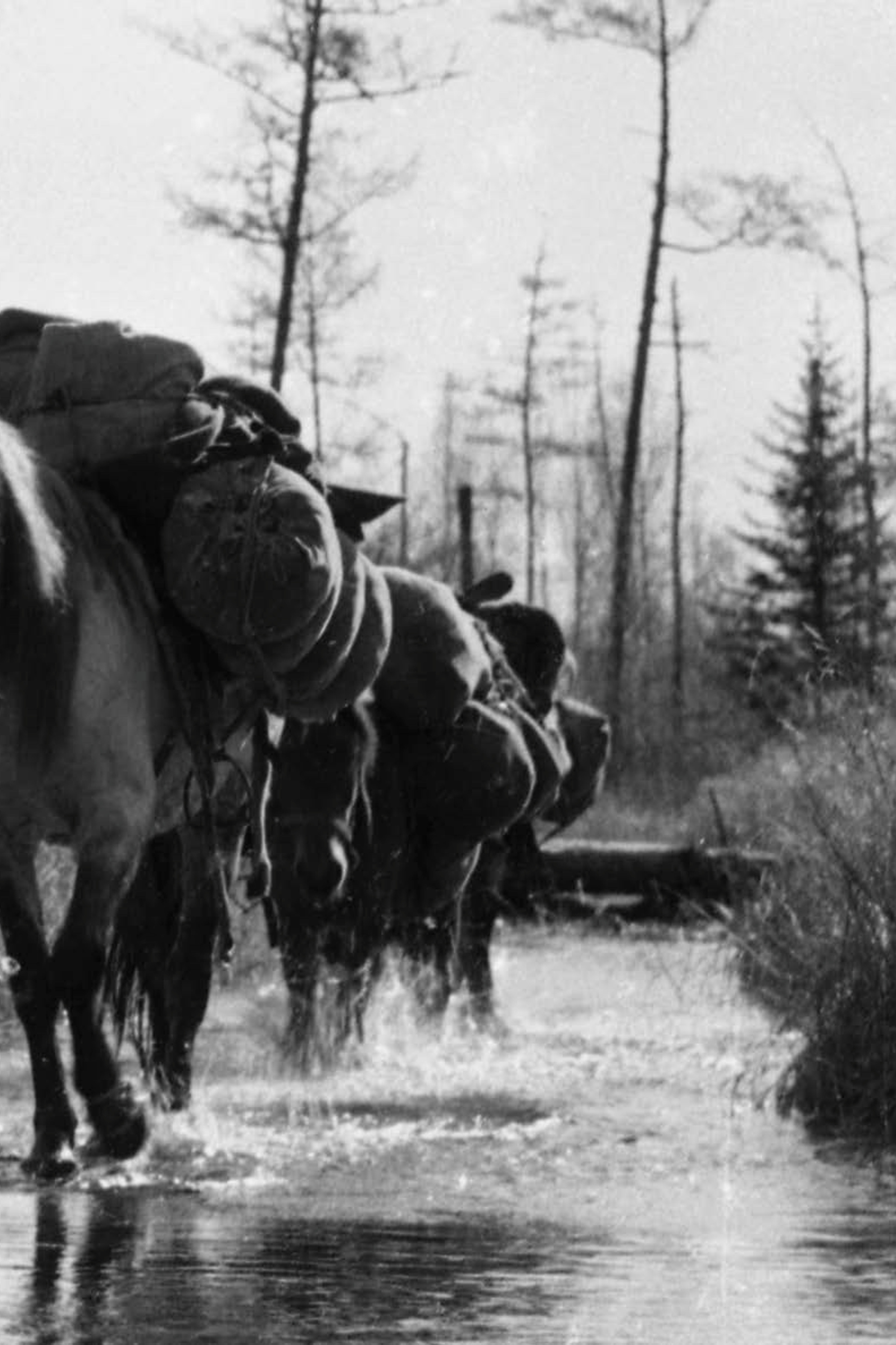 Syberia - 1959