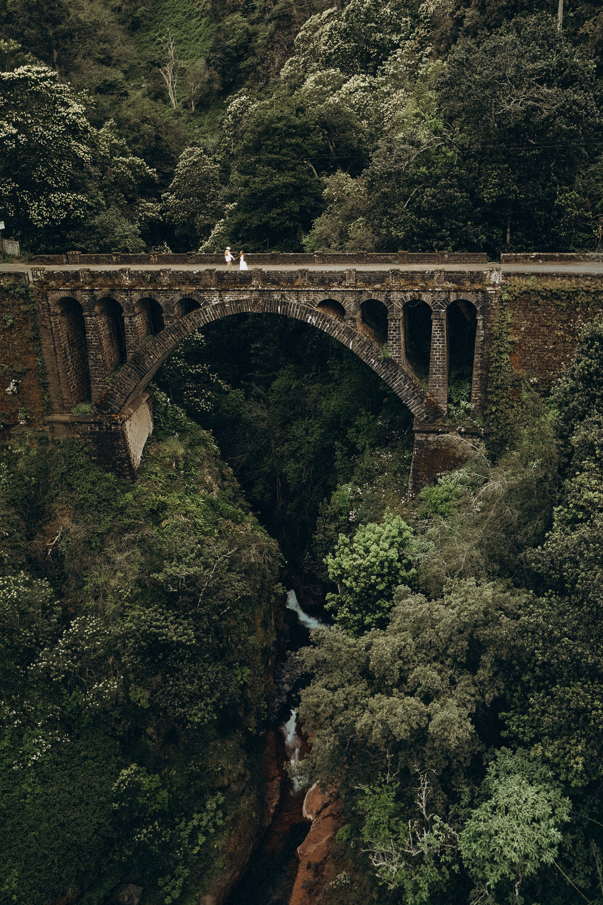 New photoshoots in Madeira: capture your moments!