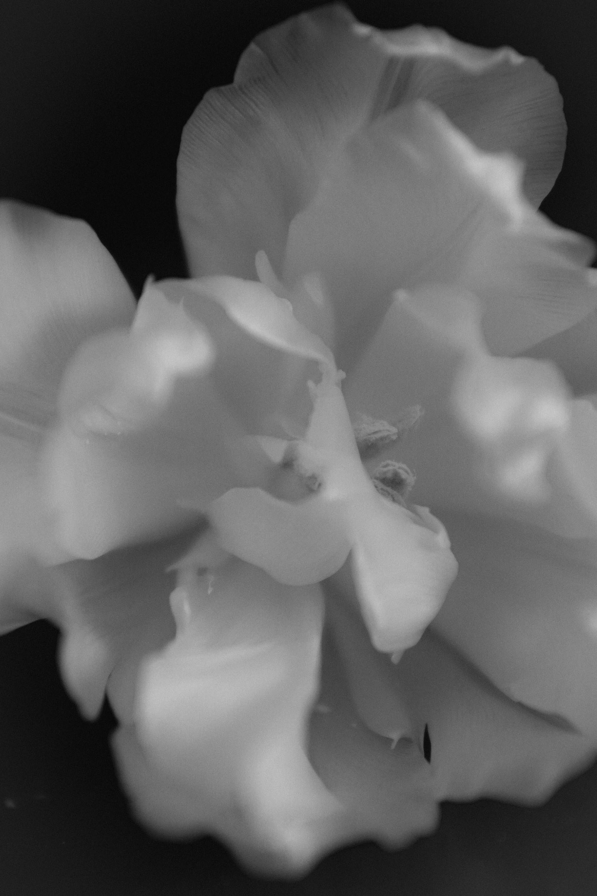 Meeste ja naiste fotograaf Tallinnas Anna Sipari