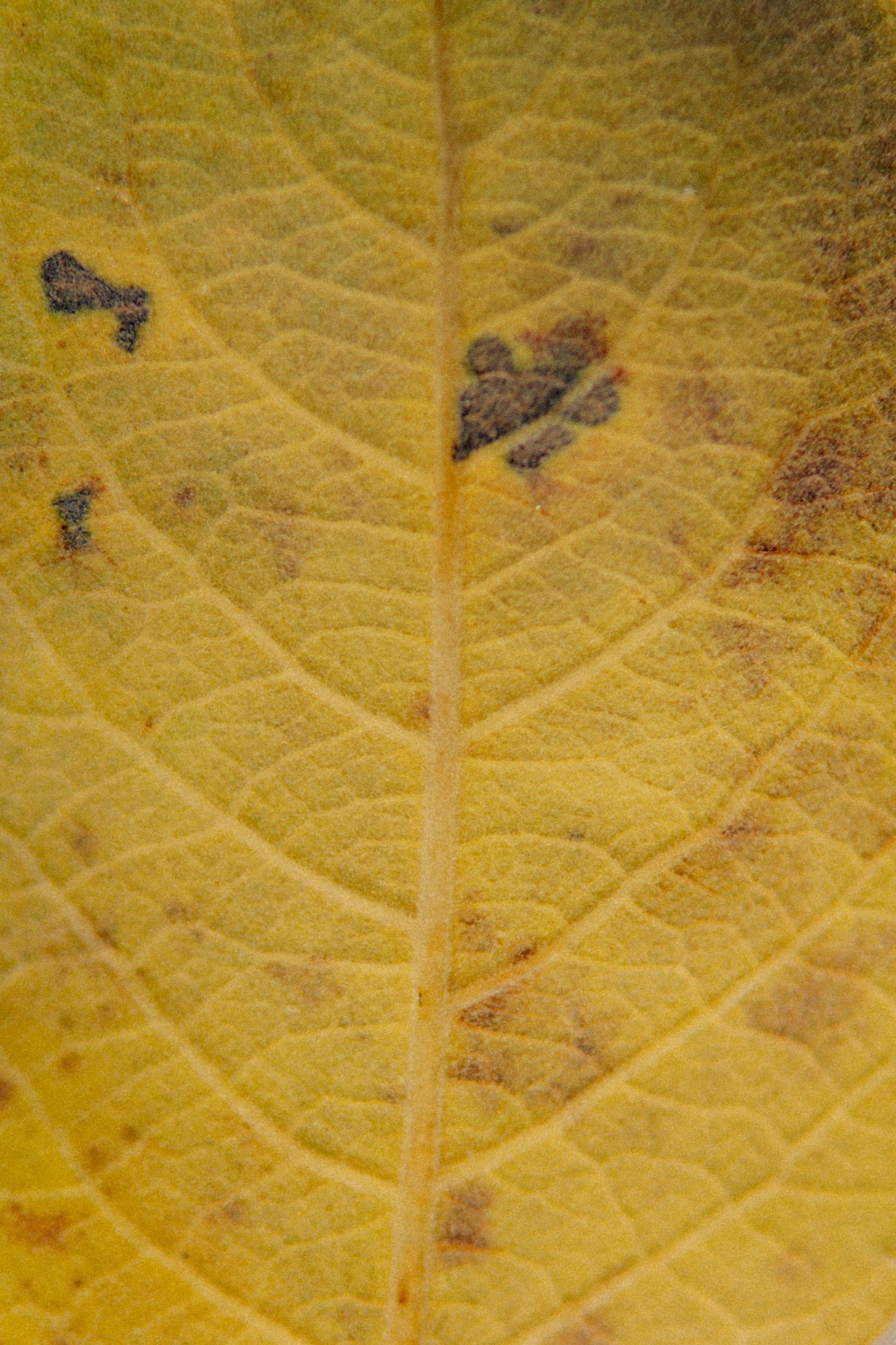 Meeste ja naiste fotograaf Tallinnas Anna Sipari