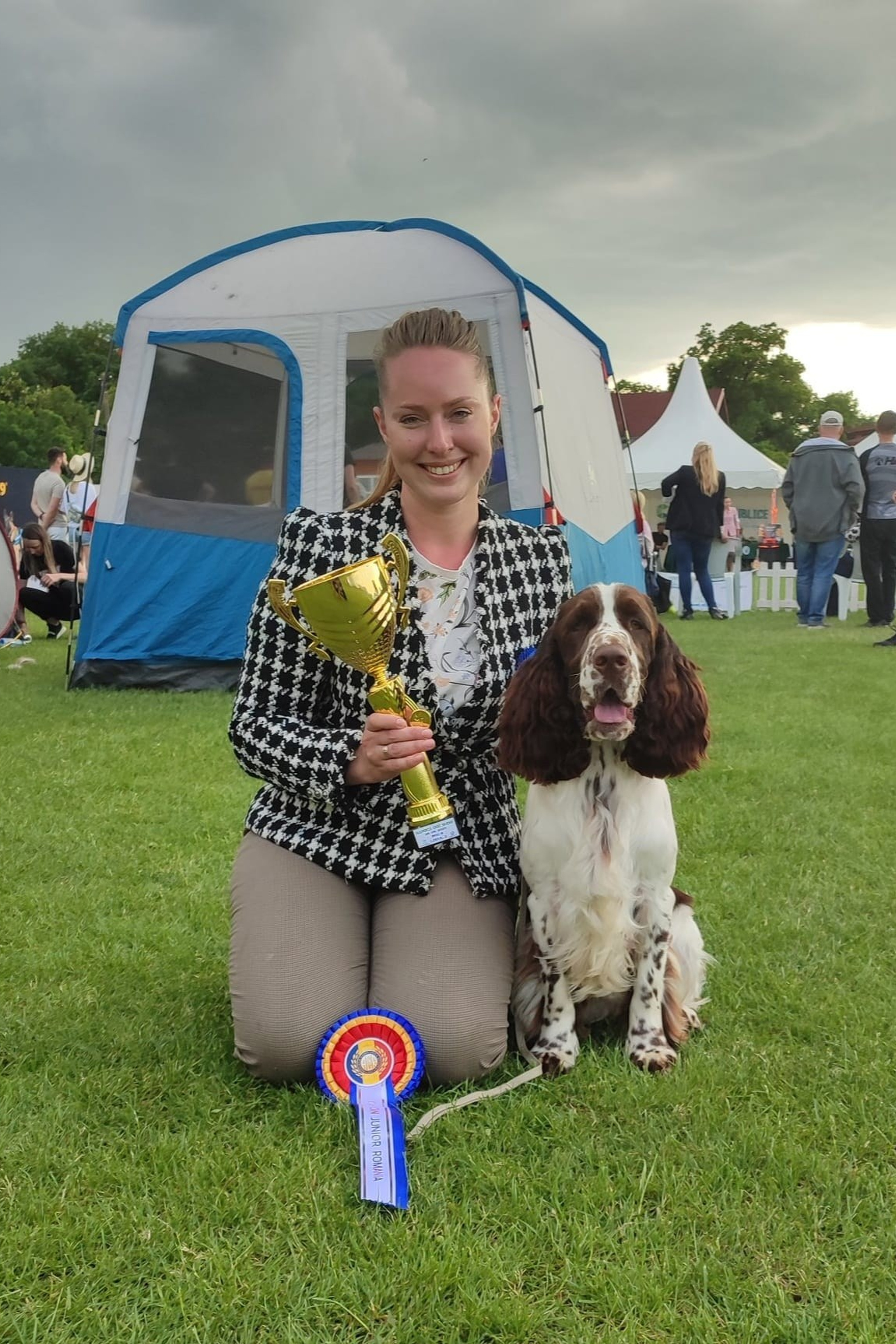 English Springer Spaniel show results WANDERLOVE JESSE JAMES. Website of the titled stud dog of the Springer Spaniel breed