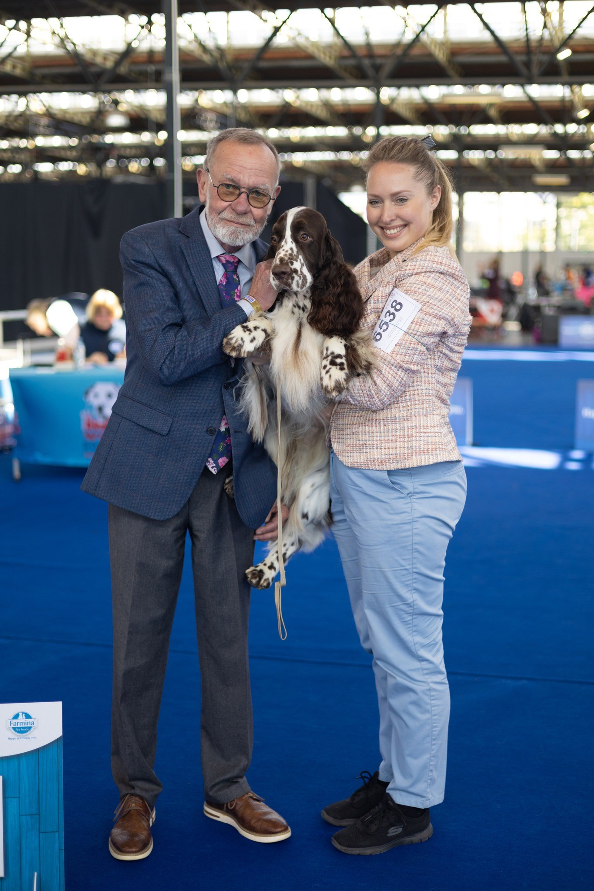 English Springer Spaniel show results WANDERLOVE JESSE JAMES. Website of the titled stud dog of the Springer Spaniel breed