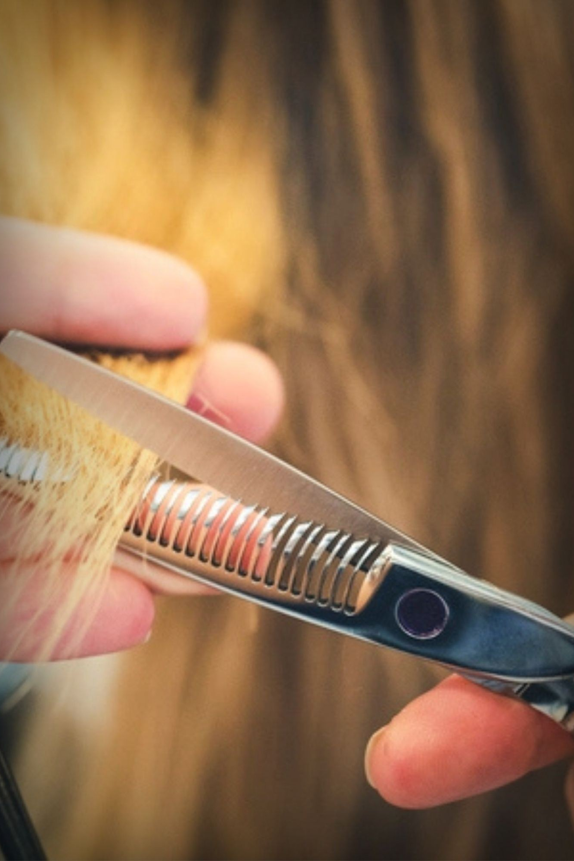 Новости. Мастер по заточке и реставрации инструментов