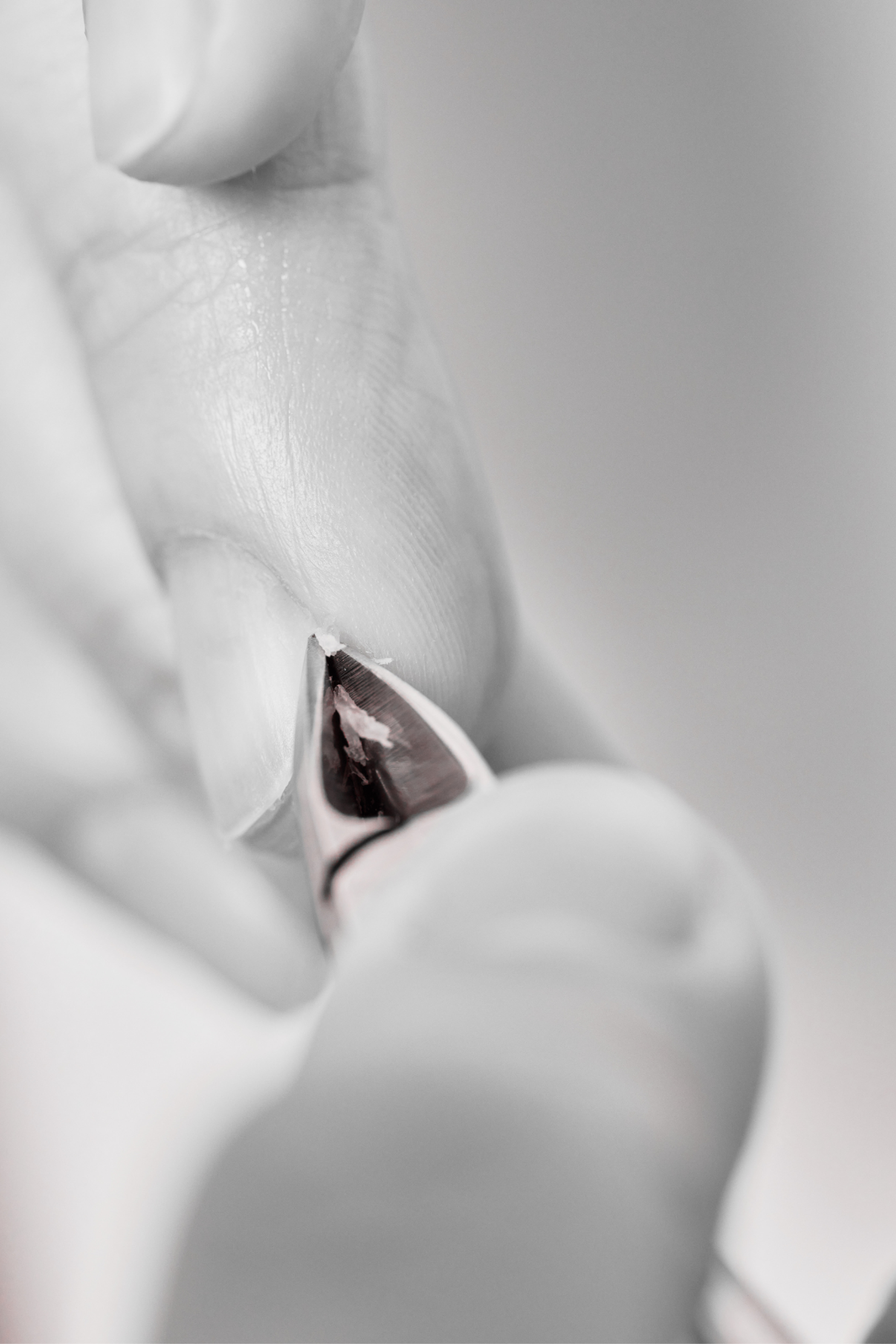 Новости. Мастер по заточке и реставрации инструментов