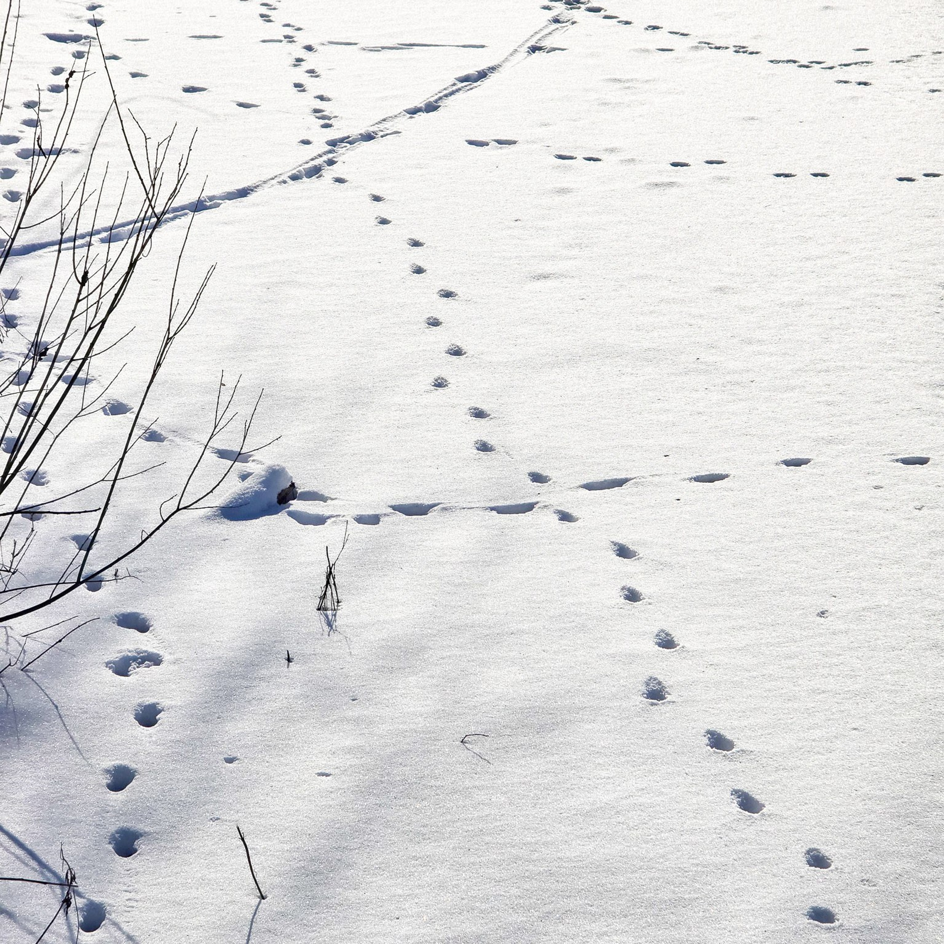 Untitled — Entry 2 | Reflections on Transition and Artistic Recognition. Natalja Poplavska — Visual artist, Photographer, East Sussex, London