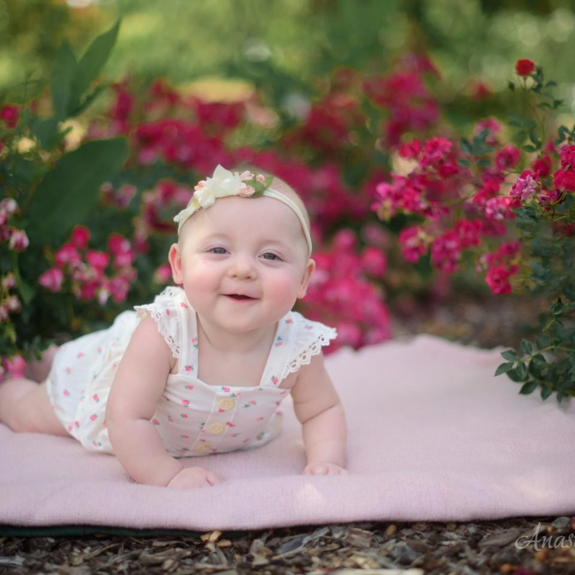 Stories. Family photographer in Roseville, Rocklin, Folsom, Sacramento