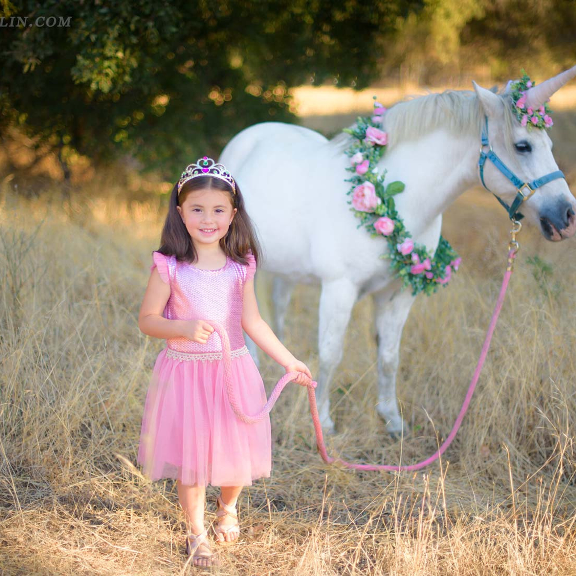 Stories. Family photographer in Roseville, Rocklin, Folsom, Sacramento