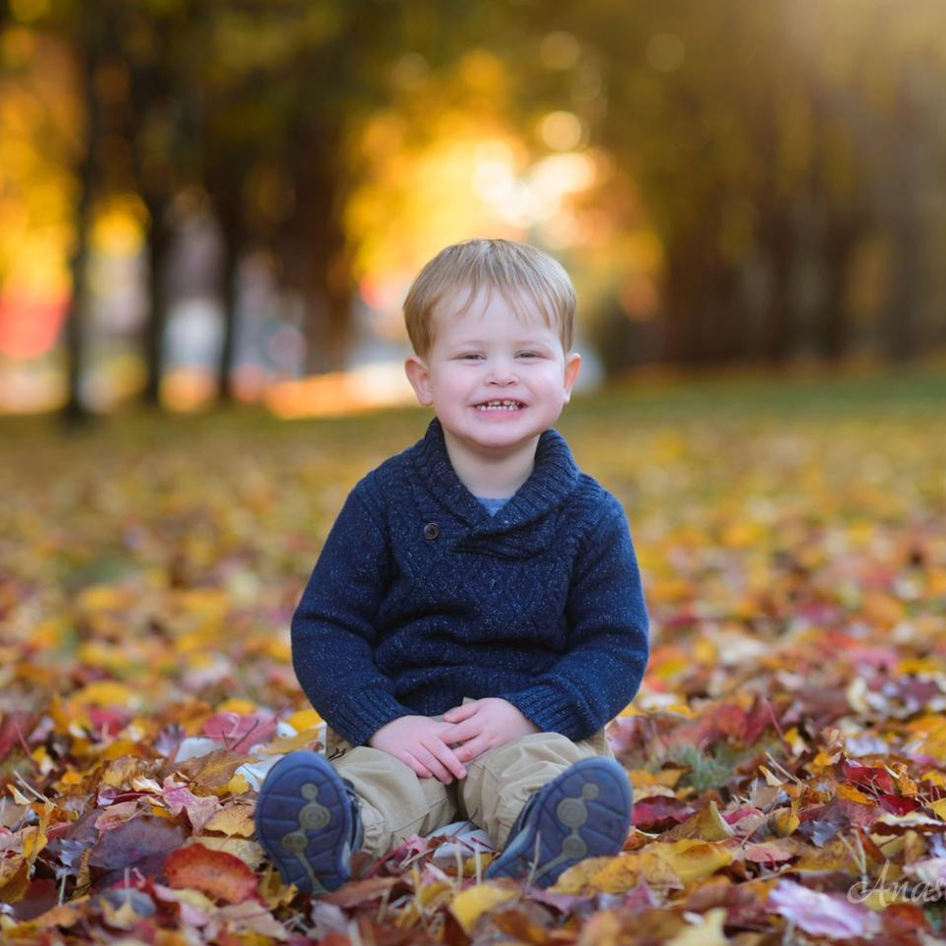 Stories. Family photographer in Roseville, Rocklin, Folsom, Sacramento