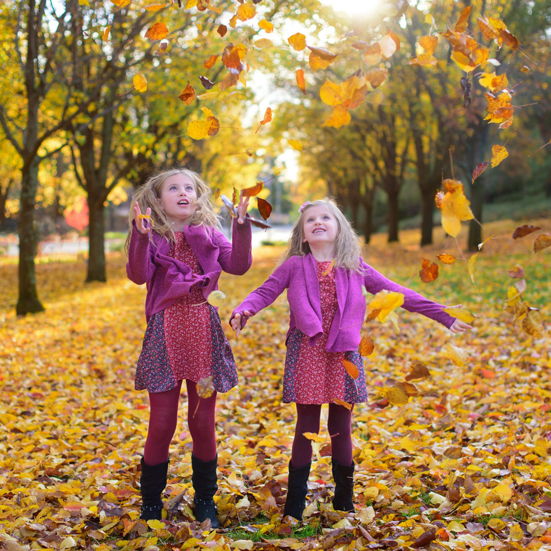 Stories. Family photographer in Roseville, Rocklin, Folsom, Sacramento