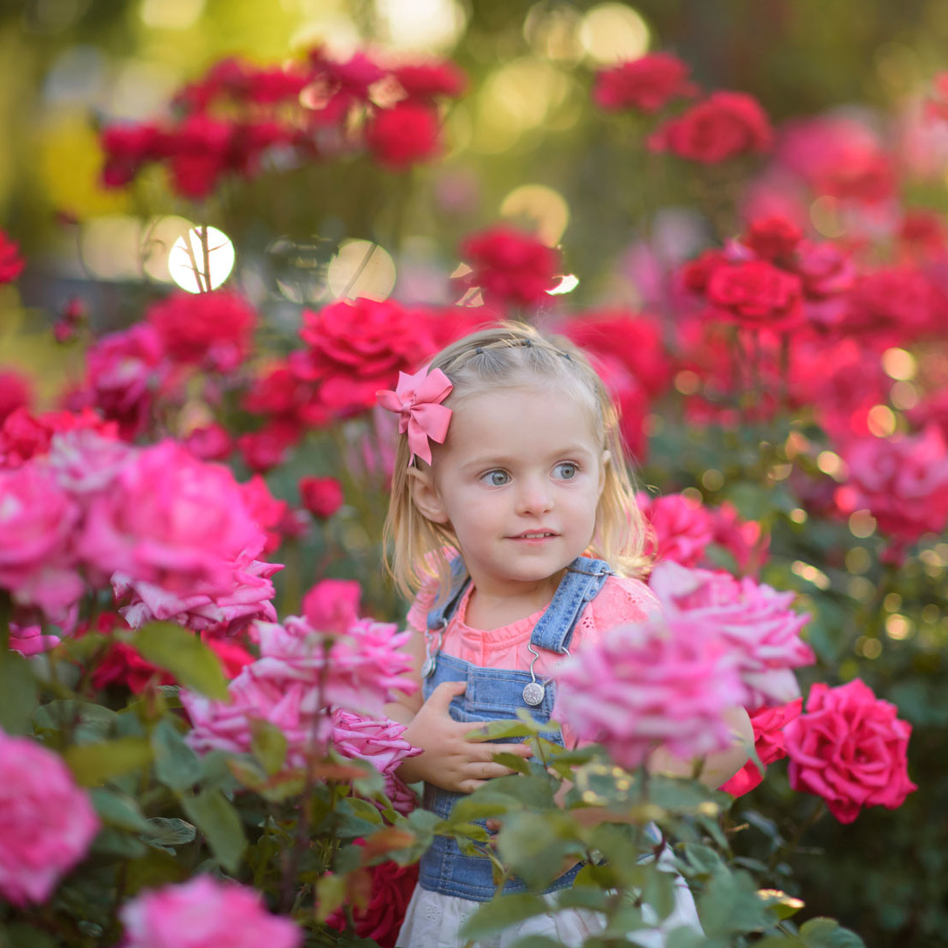 Stories. Family photographer in Roseville, Rocklin, Folsom, Sacramento