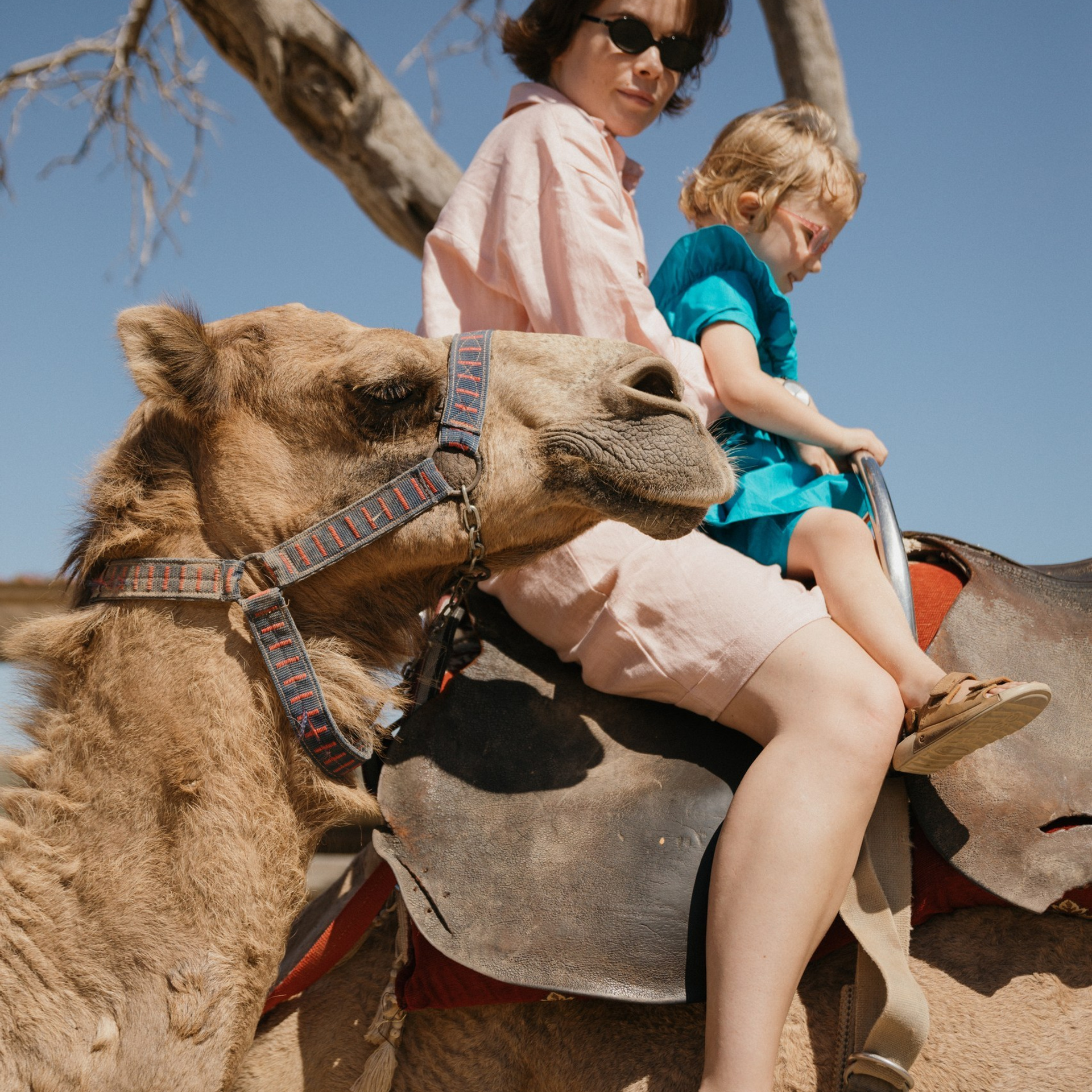 Olya and Ada. Camel park. September 2024.