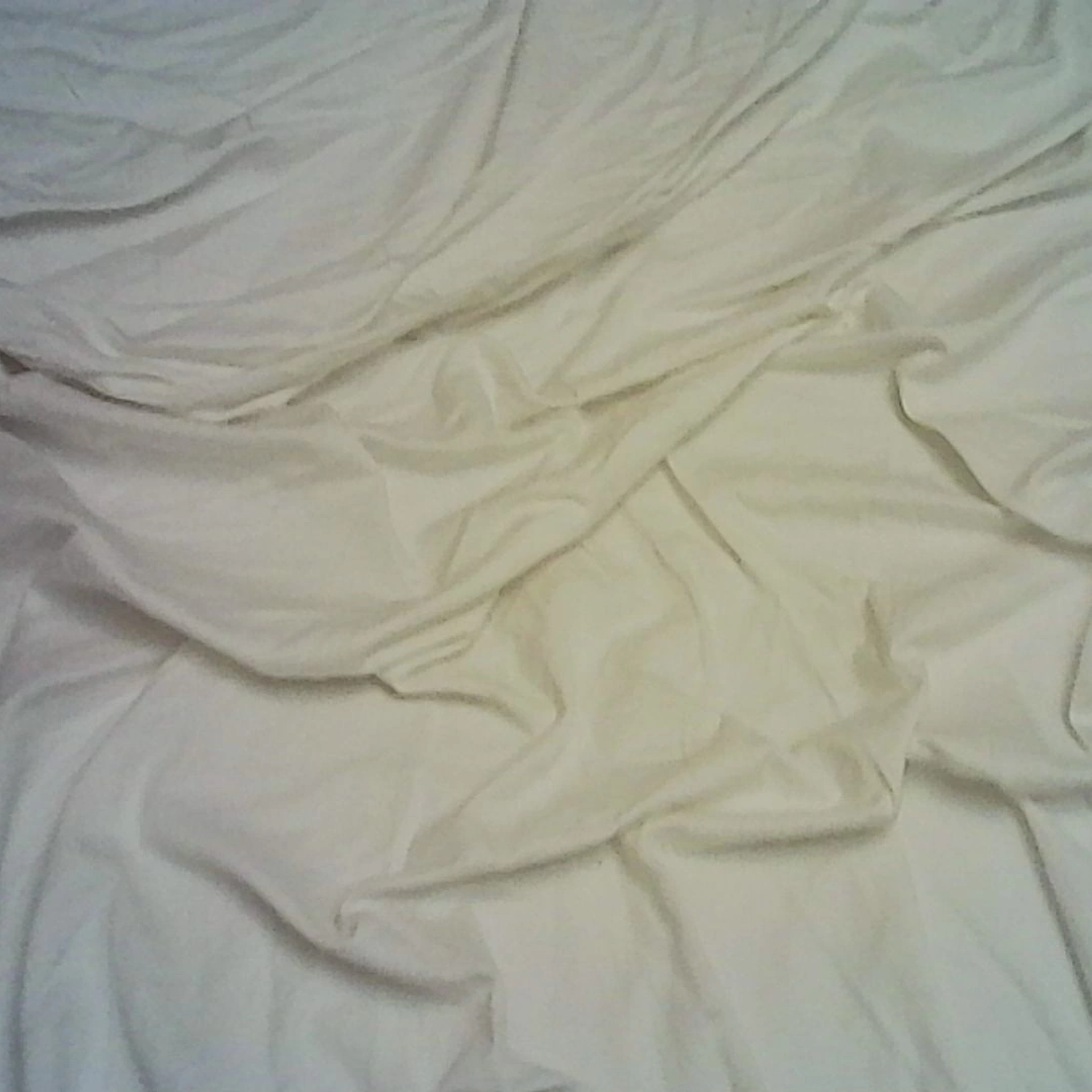 White room. Leni Smoragdova | Transaction Art Universe | Conceptual Art