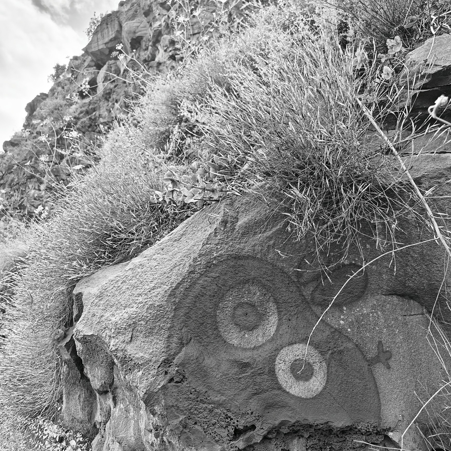 Trialogue, 2023-2026. Areg Balayan — Photographer/Visual Artist