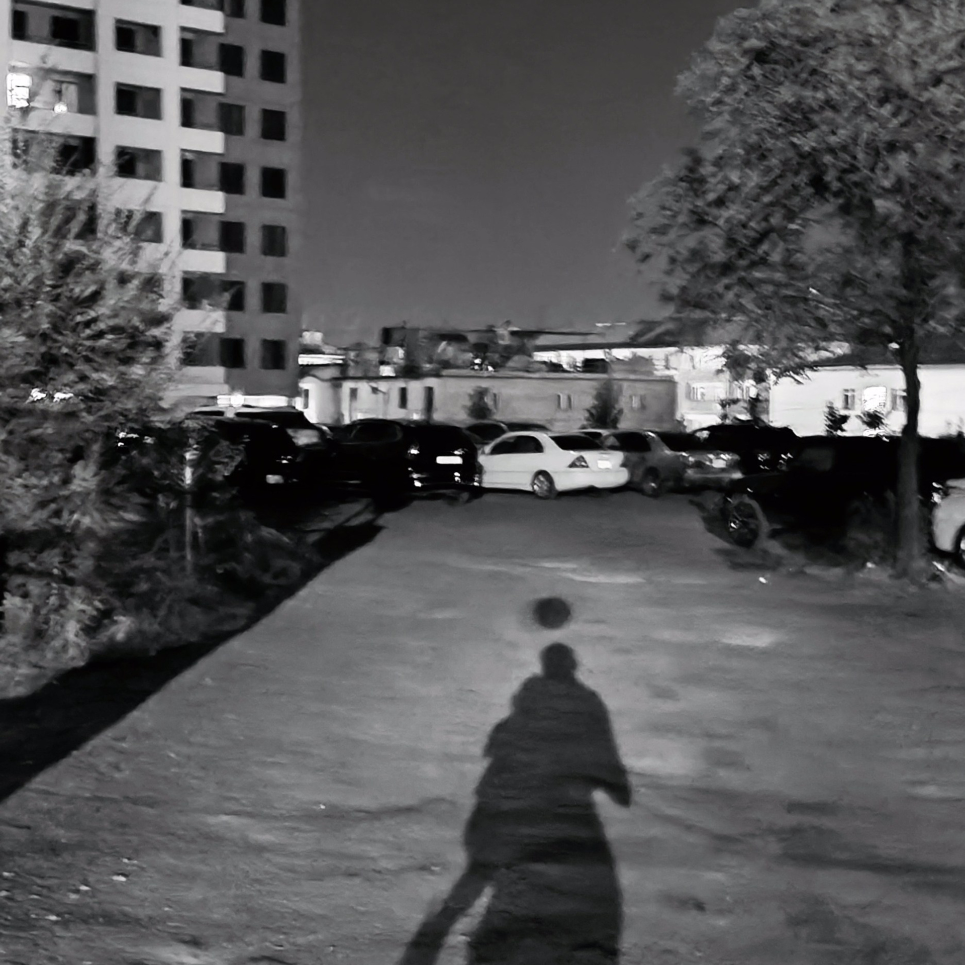 Trialogue, 2023-2026. Areg Balayan — Photographer/Visual Artist