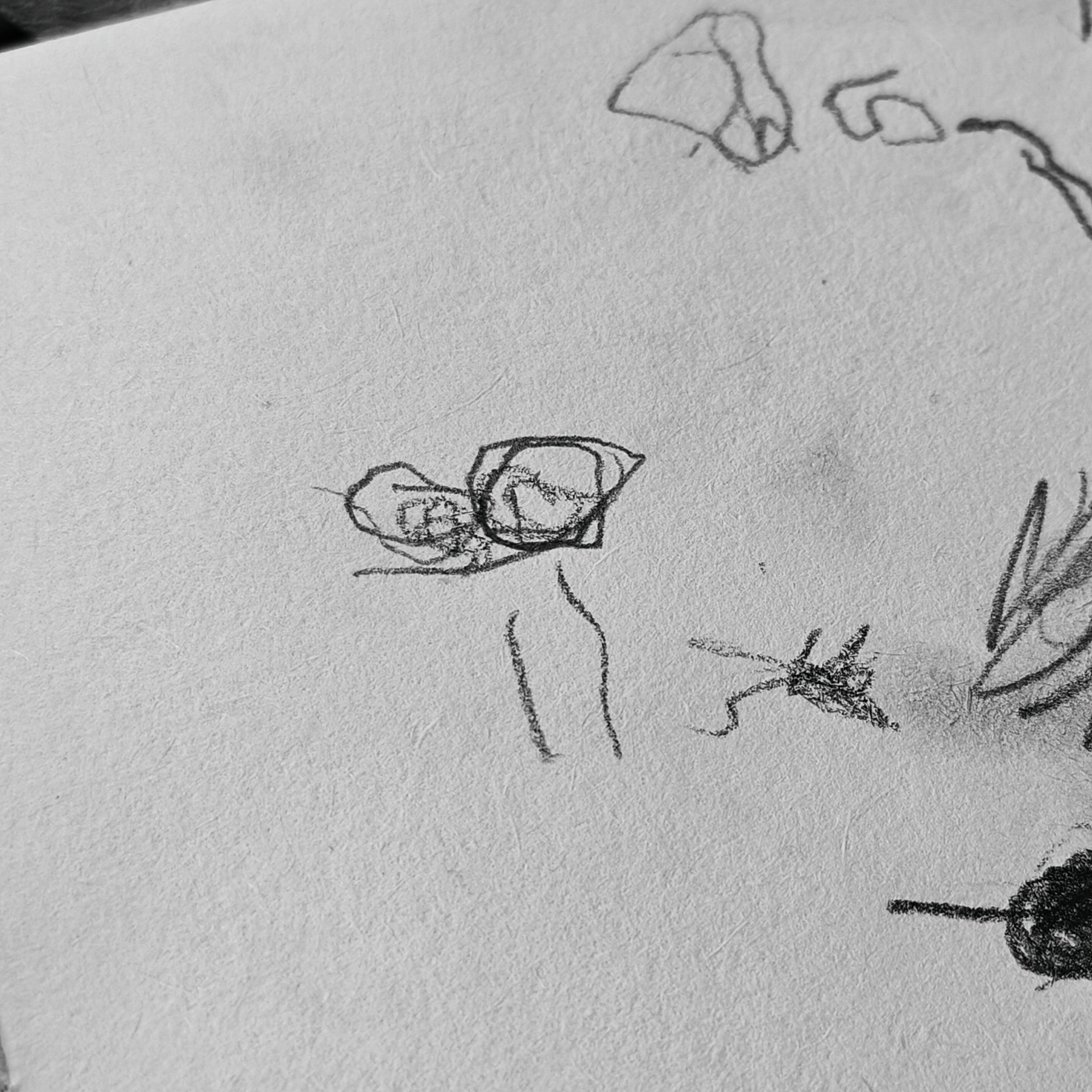 Trialogue, 2023-2026. Areg Balayan — Photographer/Visual Artist