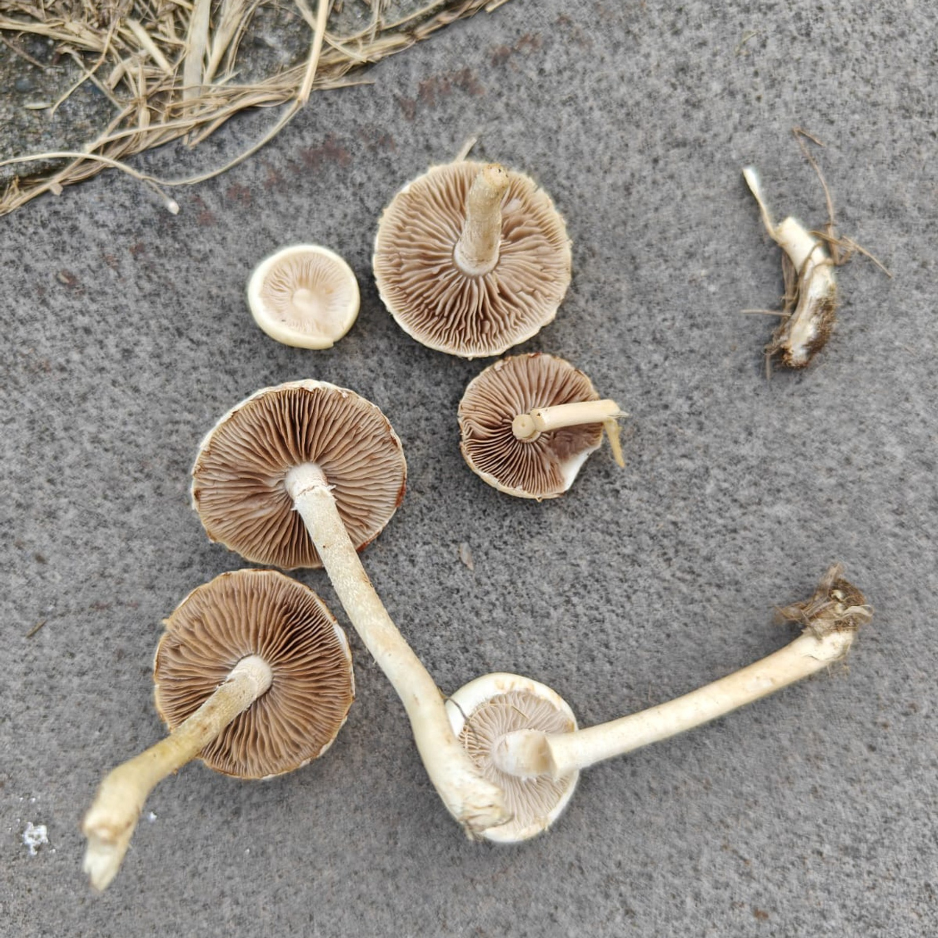 Trialogue, 2023-2026. Areg Balayan — Photographer/Visual Artist