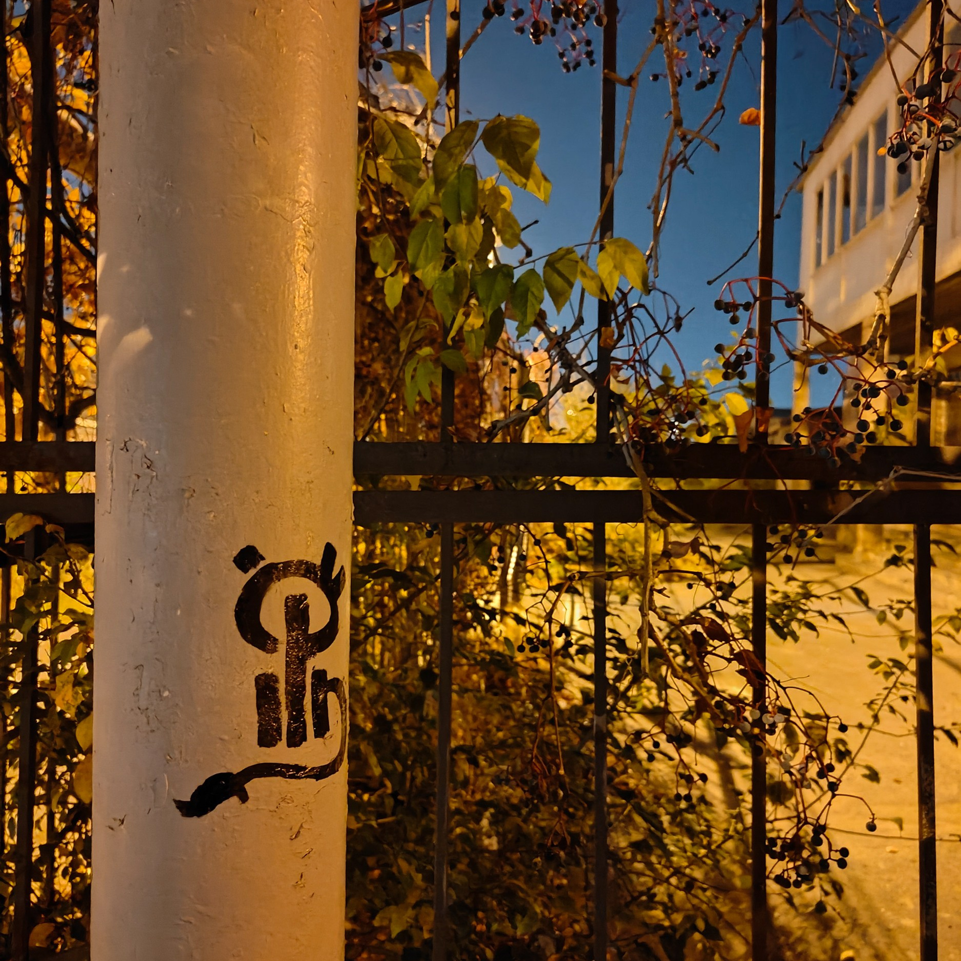 Trialogue, 2023-2026. Areg Balayan — Photographer/Visual Artist