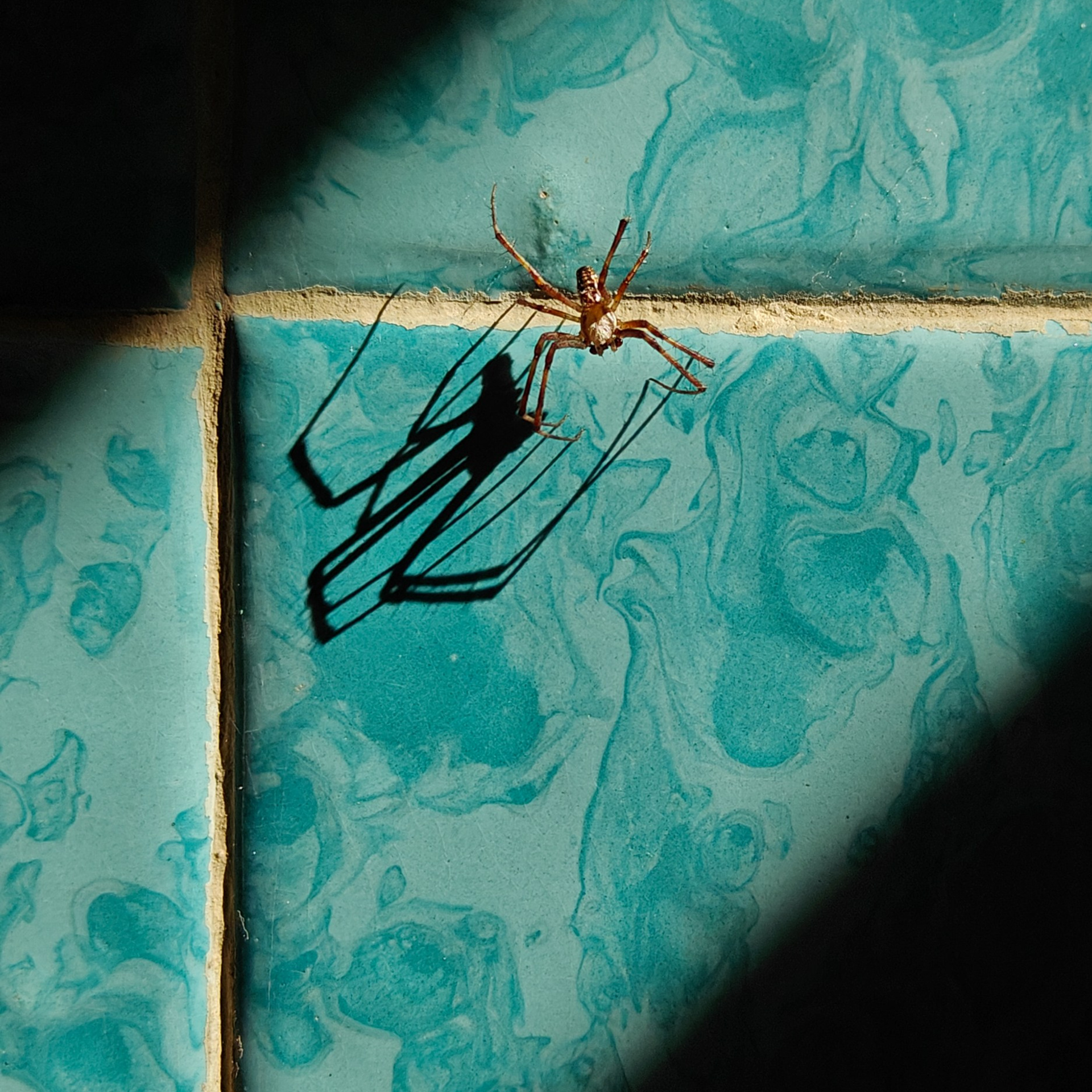 Trialogue, 2023-2026. Areg Balayan — Photographer/Visual Artist