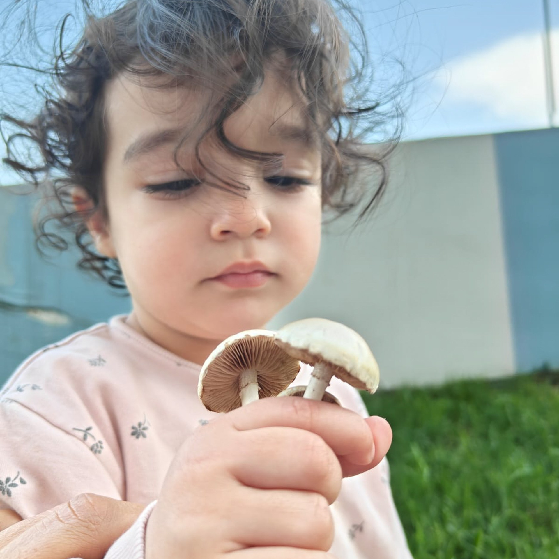 Trialogue, 2023-2026. Areg Balayan — Photographer/Visual Artist