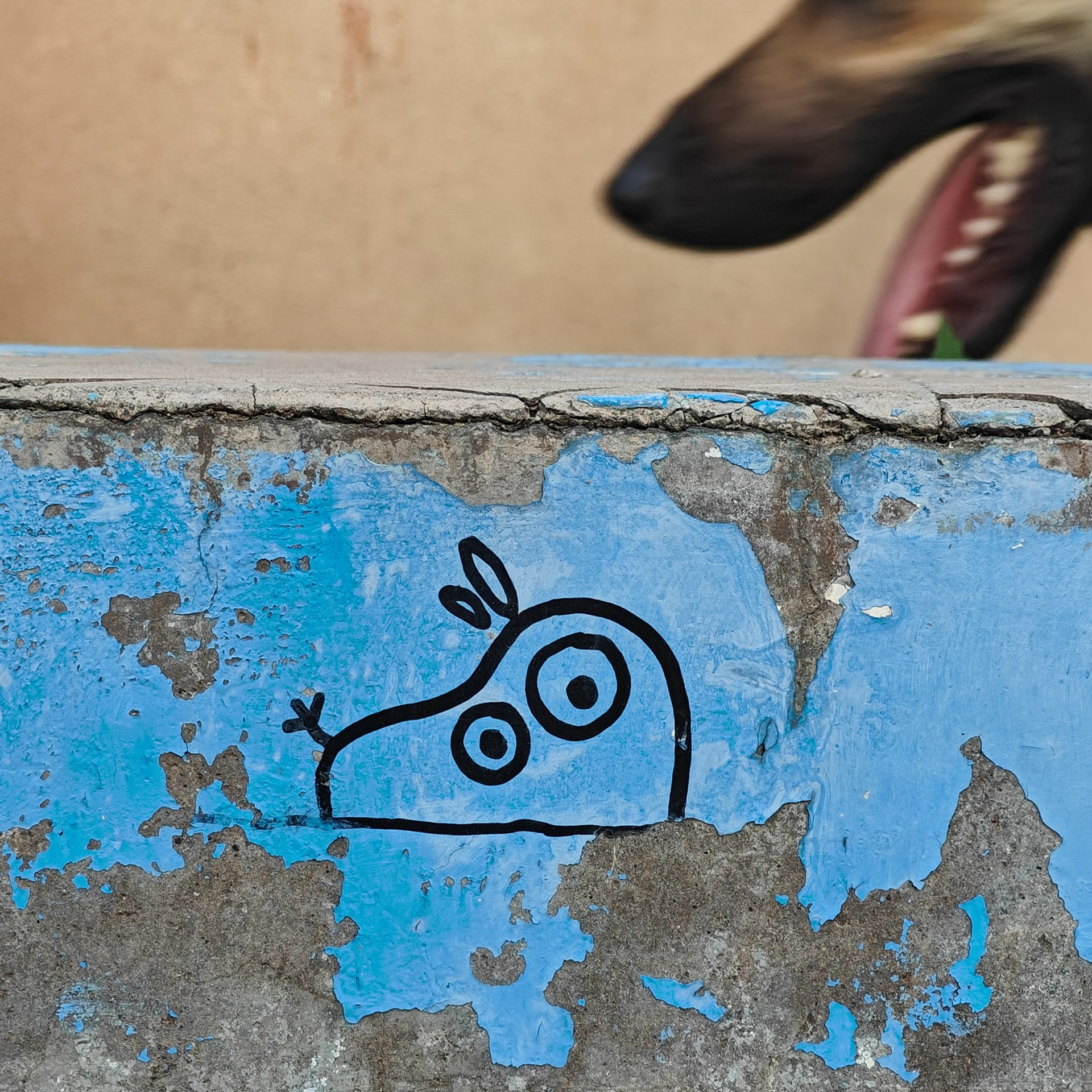 Trialogue, 2023-2026. Areg Balayan — Photographer/Visual Artist