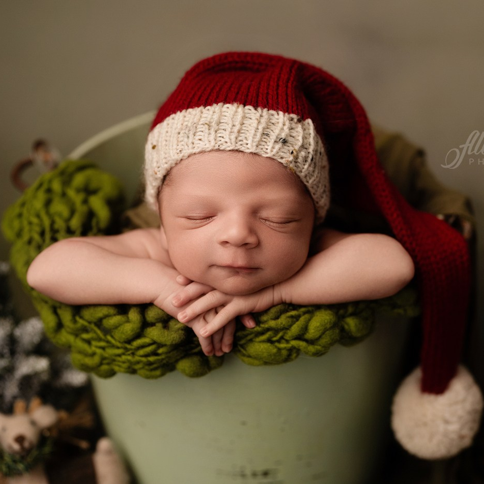 Christmas mini sessions 2020| Sydney. Newborn and family photographer. Hills District. Sydney