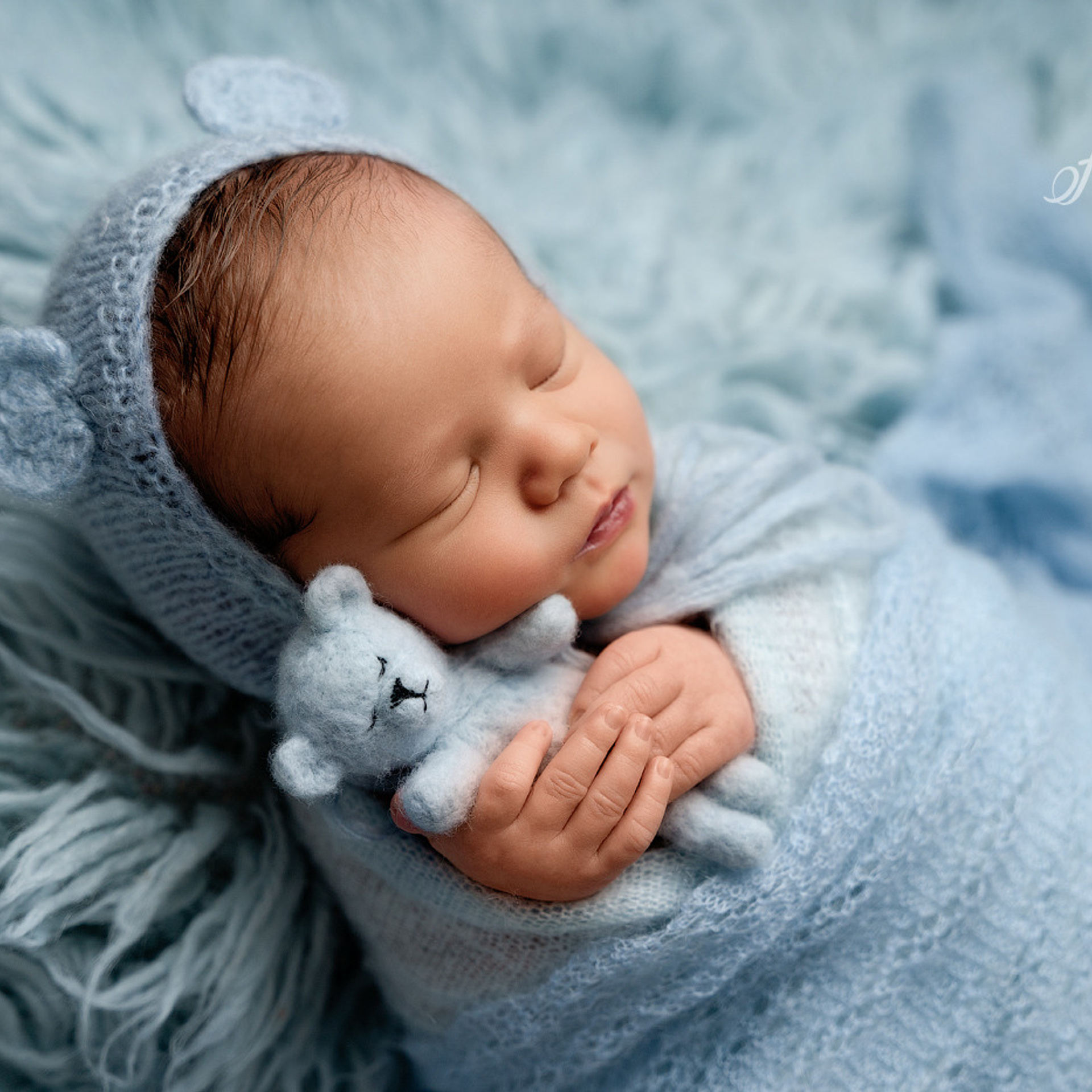 Christmas mini sessions 2020| Sydney. Newborn and family photographer. Hills District. Sydney