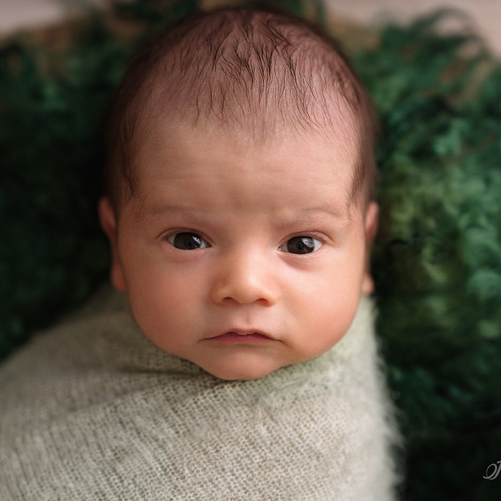 Cake smash session, Sydney. Newborn and family photographer. Hills District. Sydney