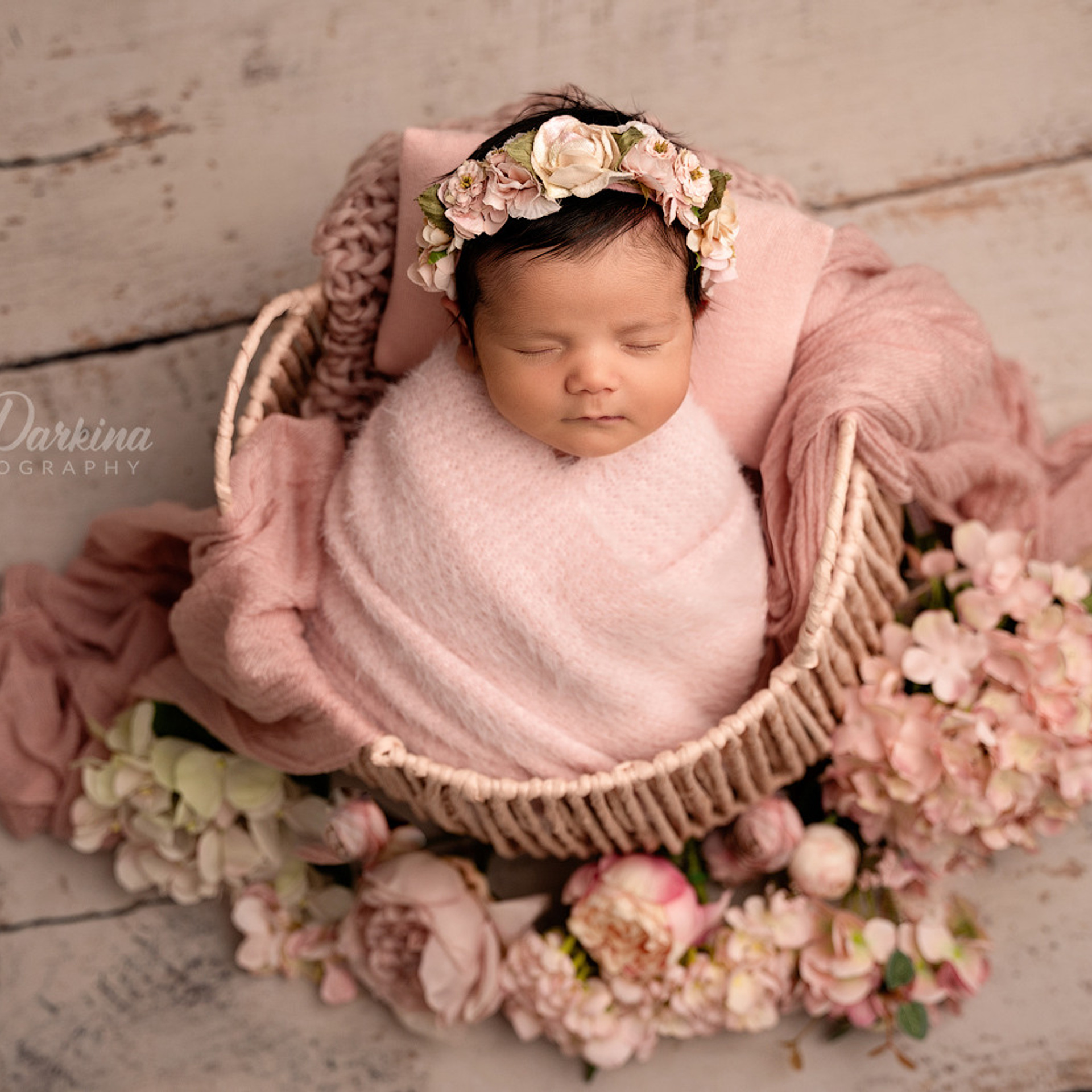 Christmas mini sessions 2020| Sydney. Newborn and family photographer. Hills District. Sydney