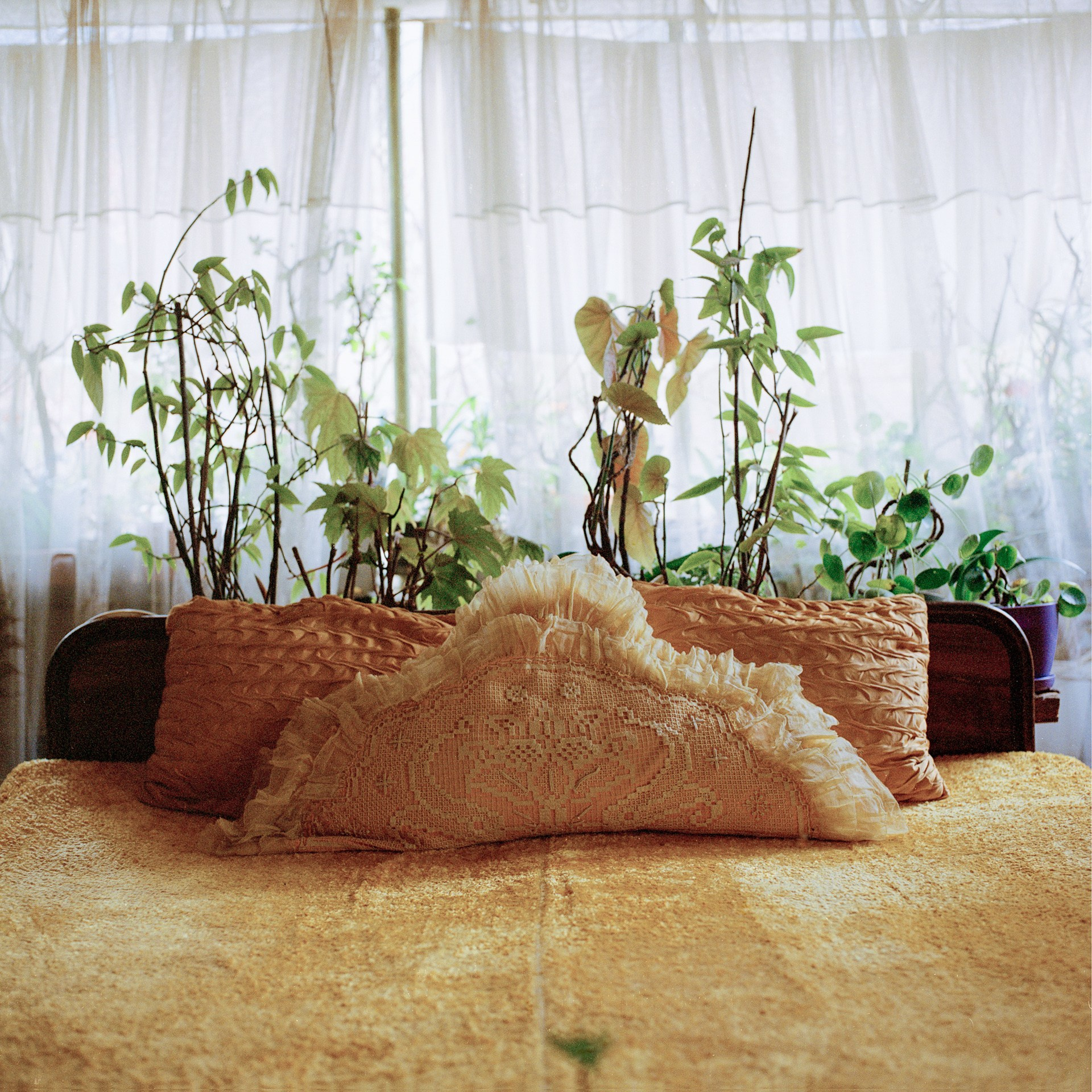 Still Home. Dilyana Tankova