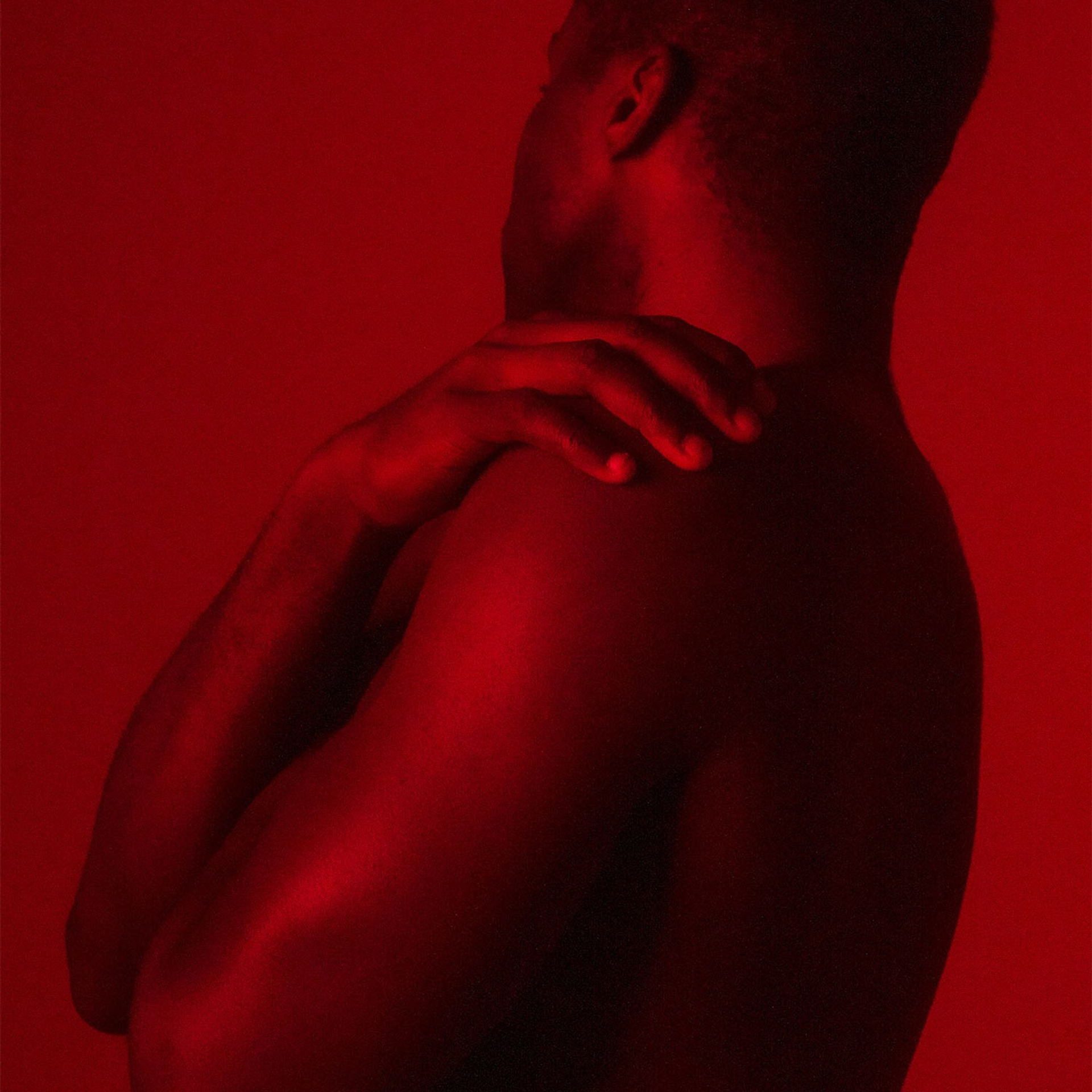 In the Shadows of Elegance