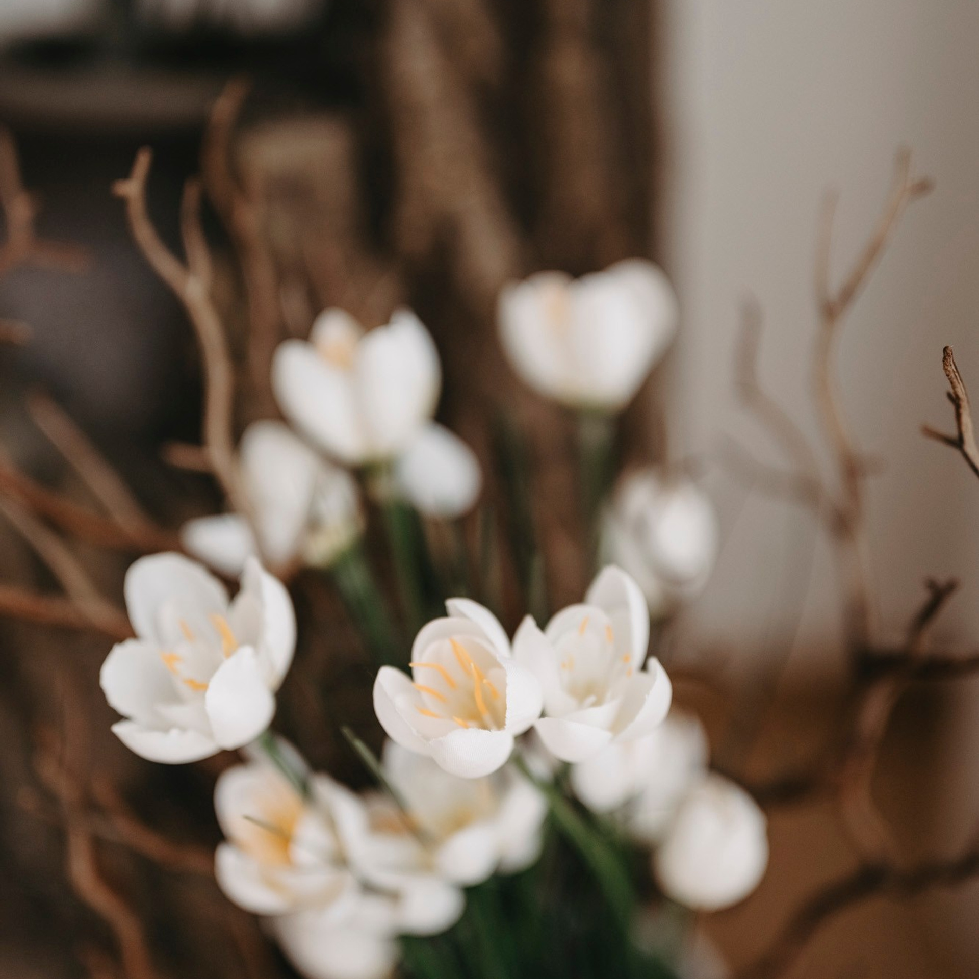 MAMINO. Deciji i porodicni fotograf u Beogradu Oksana Skendzic