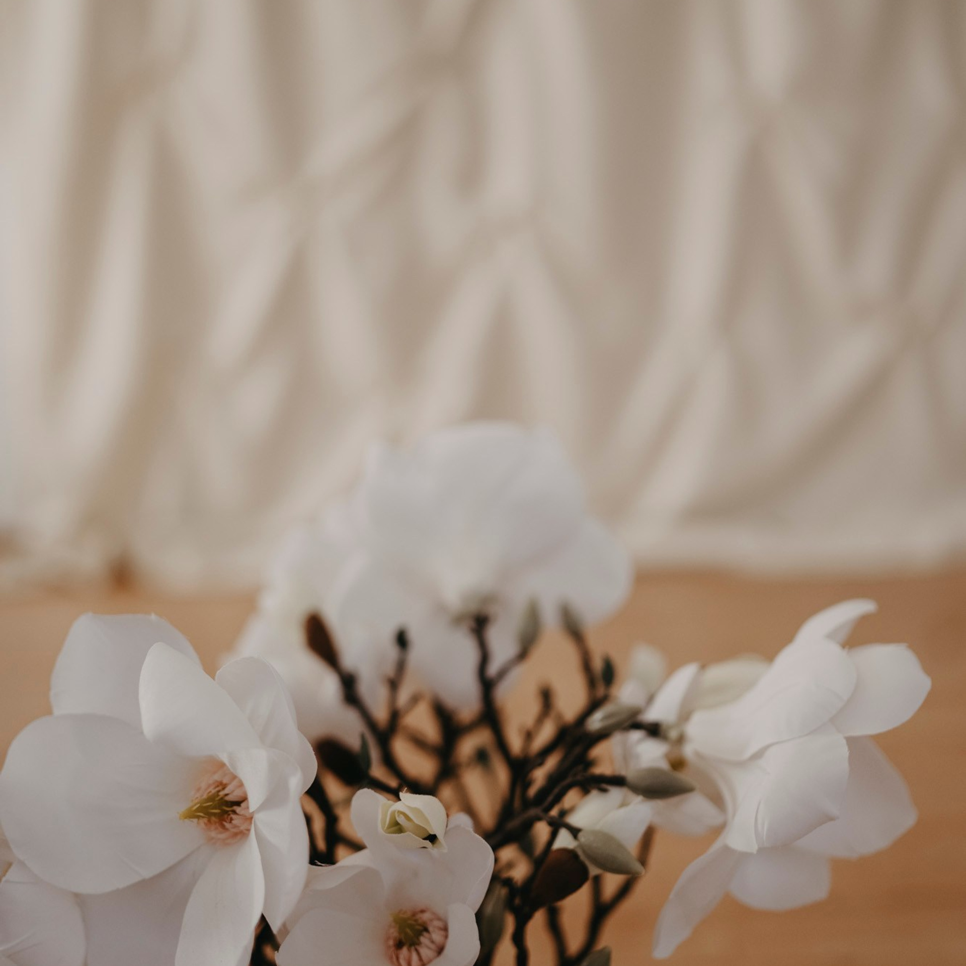 MAMINO. Deciji i porodicni fotograf u Beogradu Oksana Skendzic