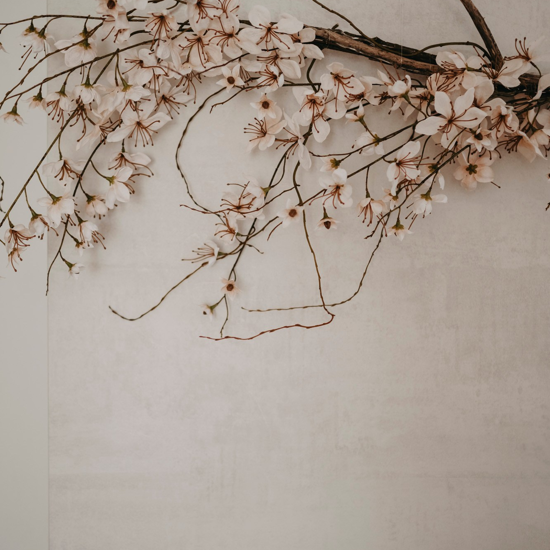 MAMINO. Deciji i porodicni fotograf u Beogradu Oksana Skendzic