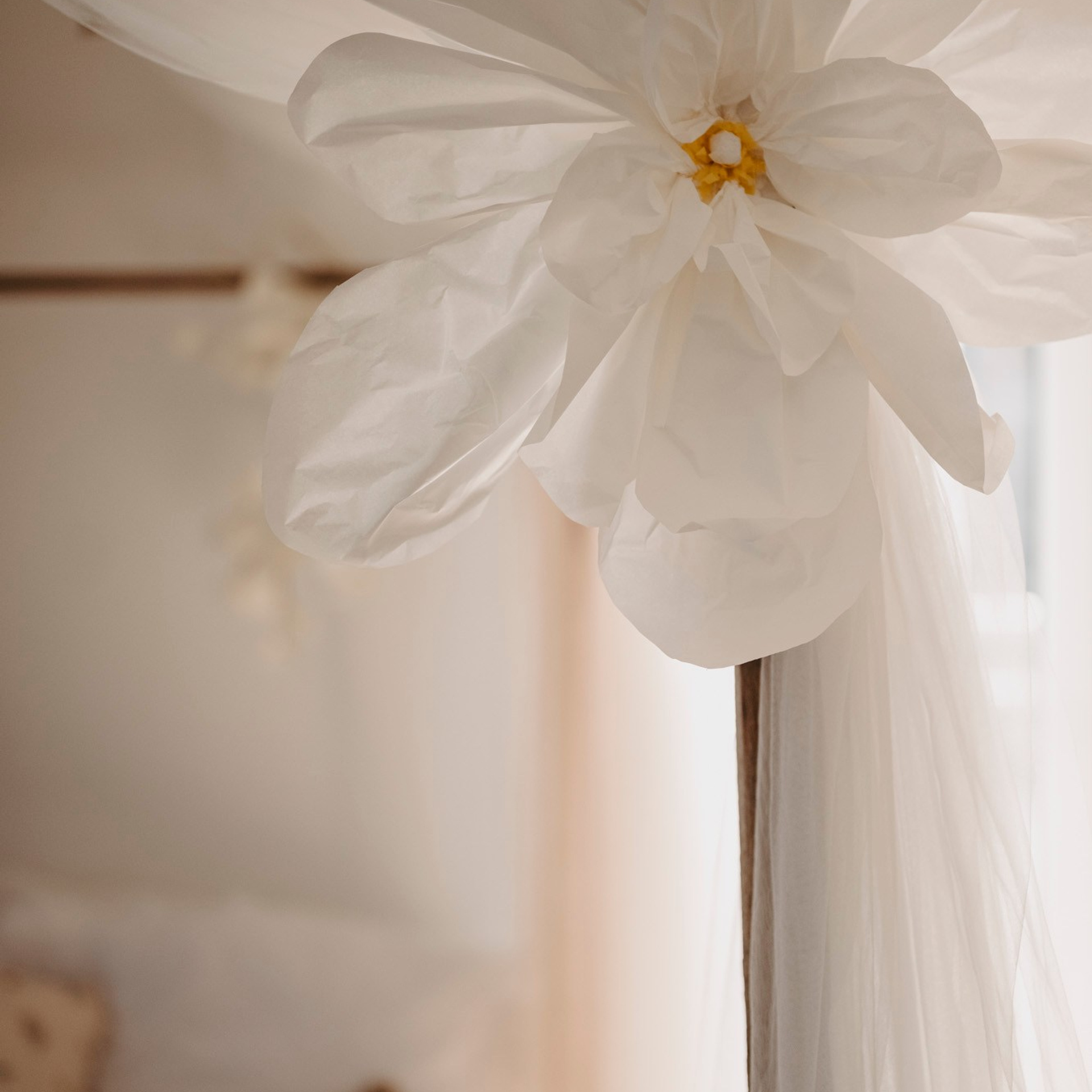 MAMINO. Deciji i porodicni fotograf u Beogradu Oksana Skendzic