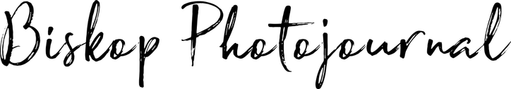 biskopjournal.com
