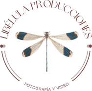 sonialibelulaproducciones.wfolio.pro