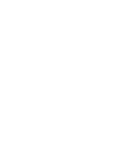 danielgasparfotos.com.br