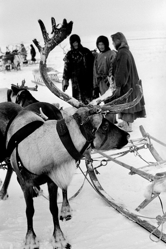 Alexander Shchemliaev / Non-Soviet Photo Part 1. Noga Creative Union