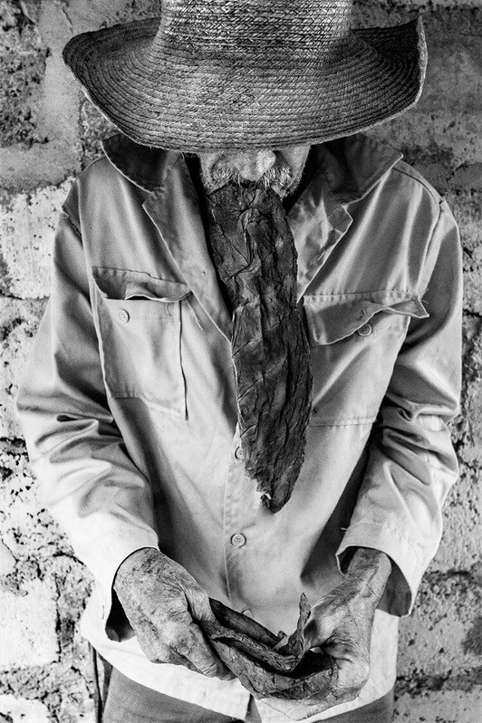 Виньялес, провинция Пинар-дель-Рио, Куба. 2018