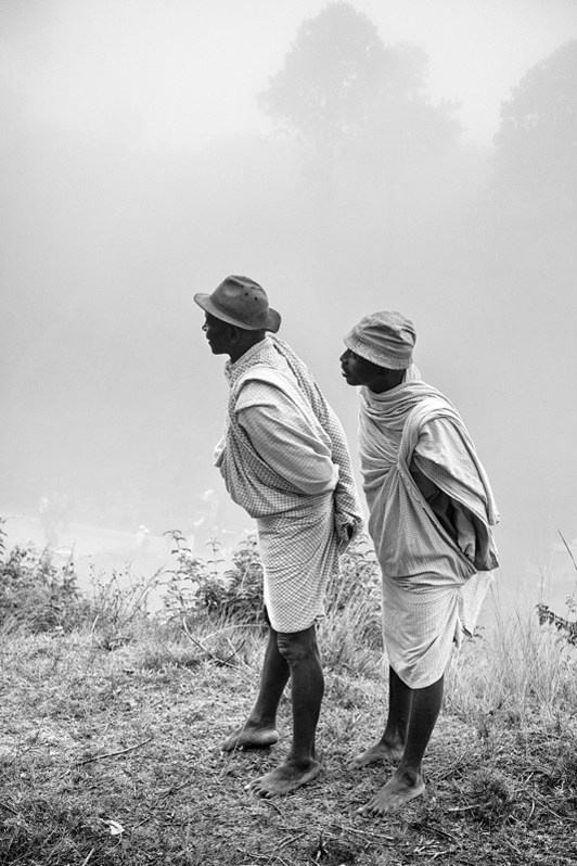Country curiosity, near Ambohimasoa, Haute Matsiatra region, Fianarantsoa province, Republic of Madagascar. 2019