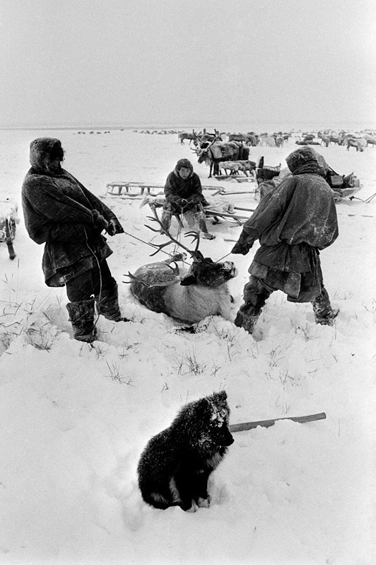 Alexander Shchemliaev / Non-Soviet Photo Part 1. Noga Creative Union