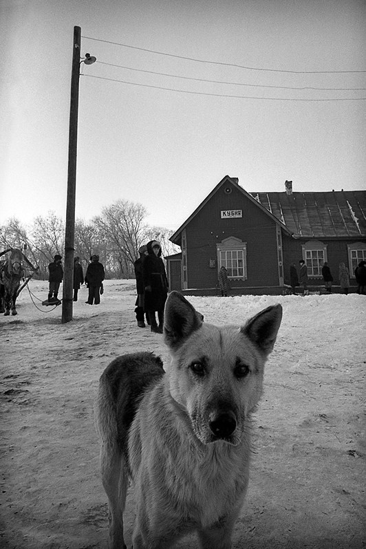 На станции Кубня, село Кубня, Зеленодольский район, Татарстан, Россия. 1987