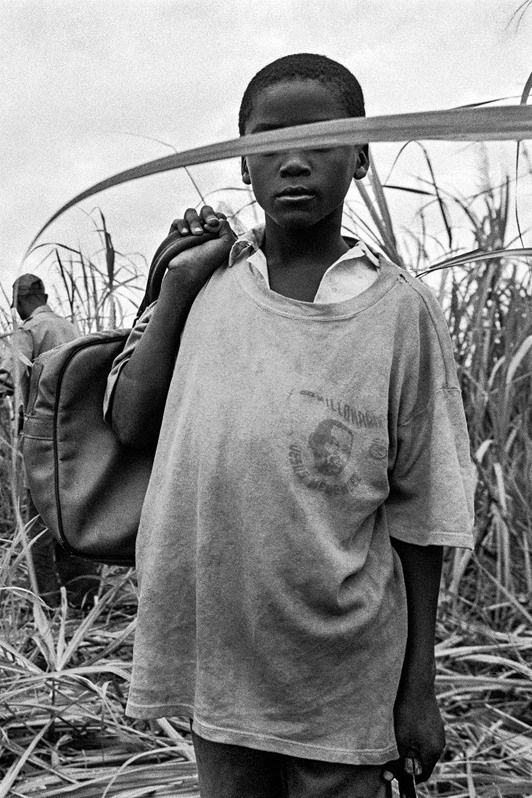 провинция Артемиса, Куба. 2001