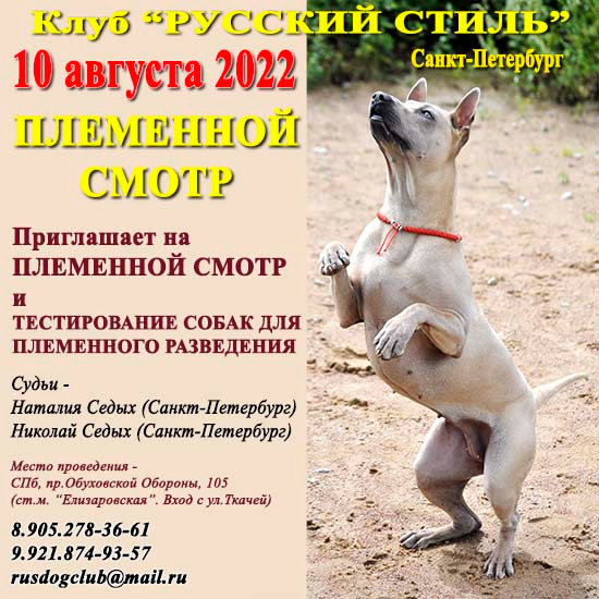 Племенной смотр 24.05.2023. Кинологический клуб РКФ РФСС СЕНСАЦИЯ